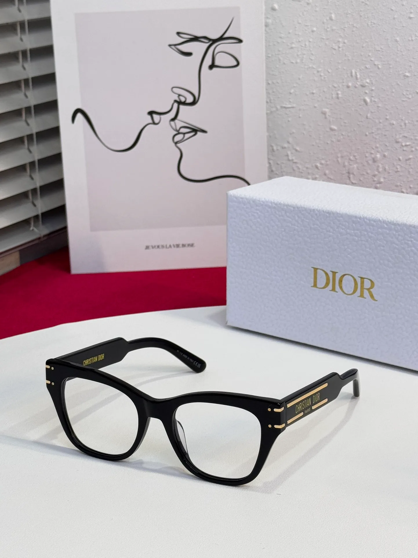 Очки Christian Dior 17458