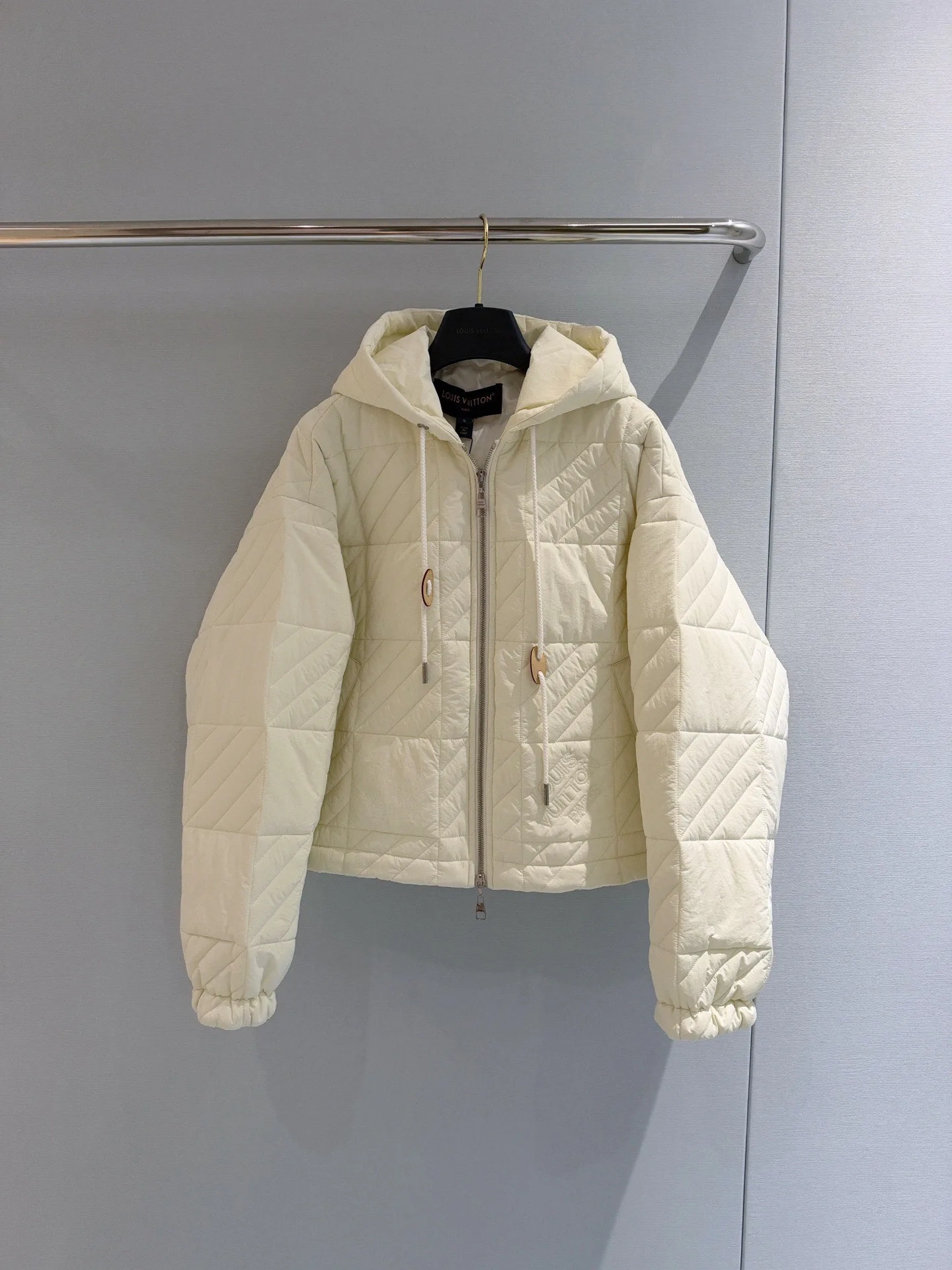 Куртки И Пуховики Женские Louis Vuitton 19503590