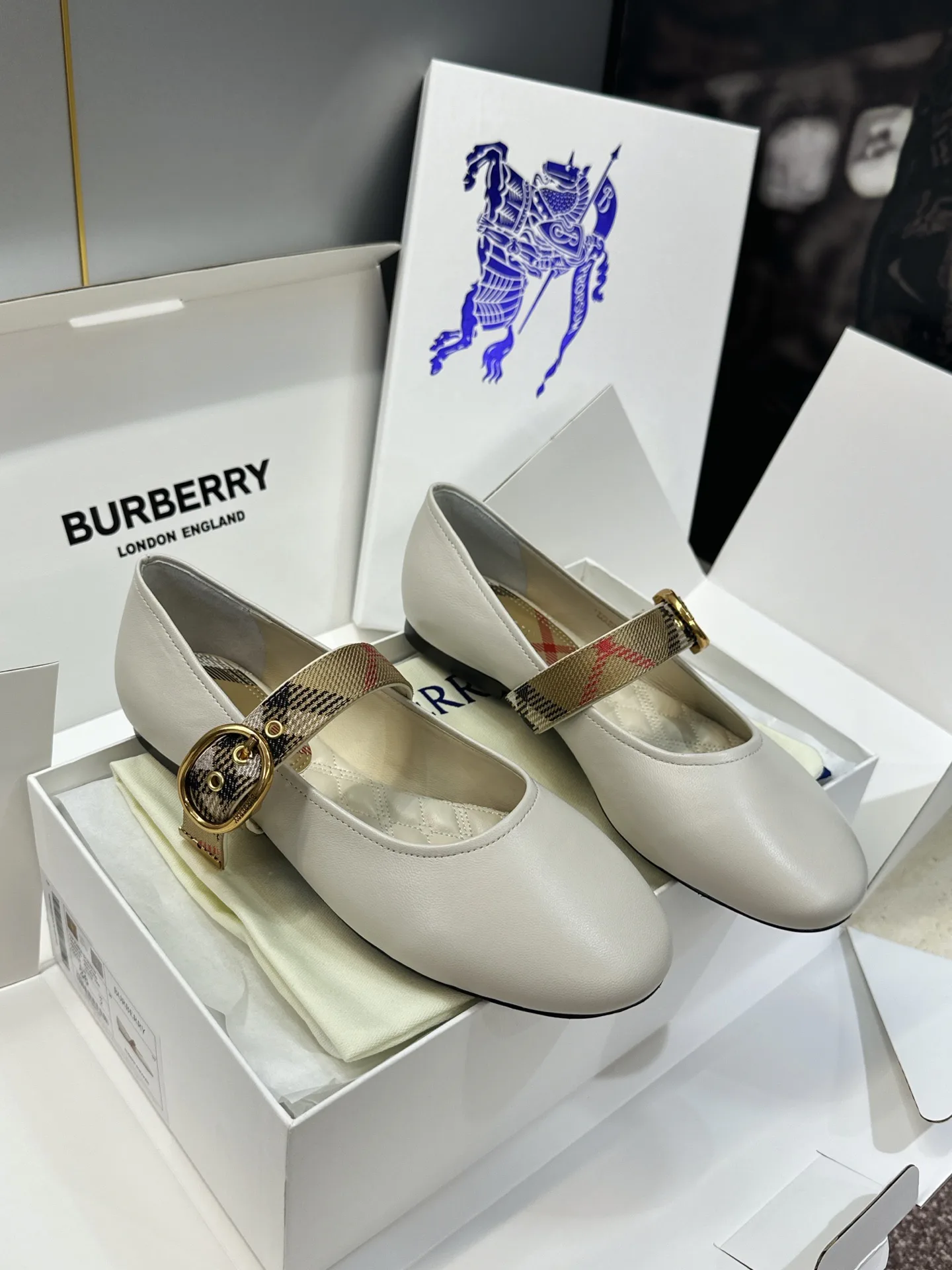 Балетки Женские Burberry 18508236