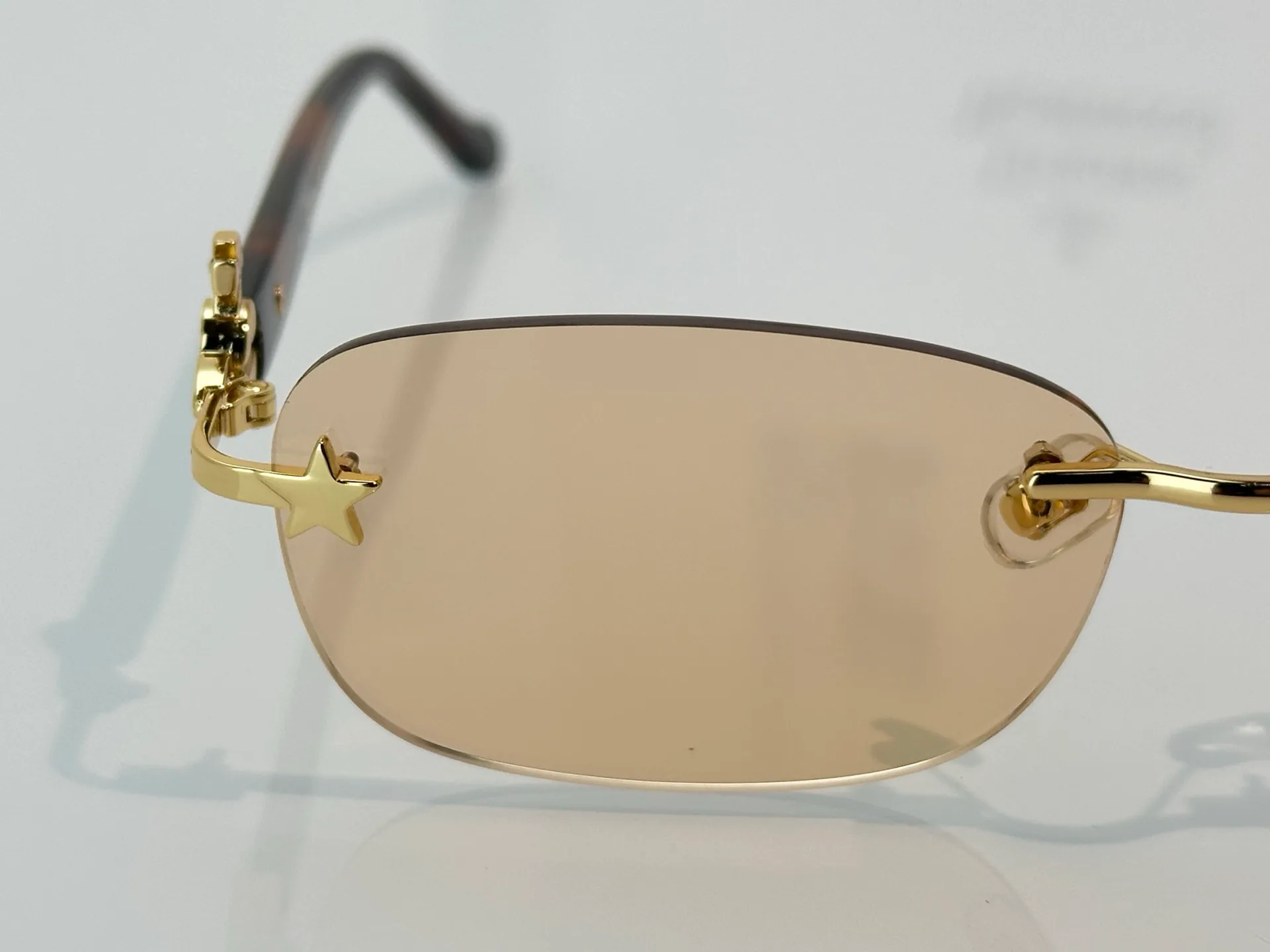 Очки Vivienne Westwood 17772239