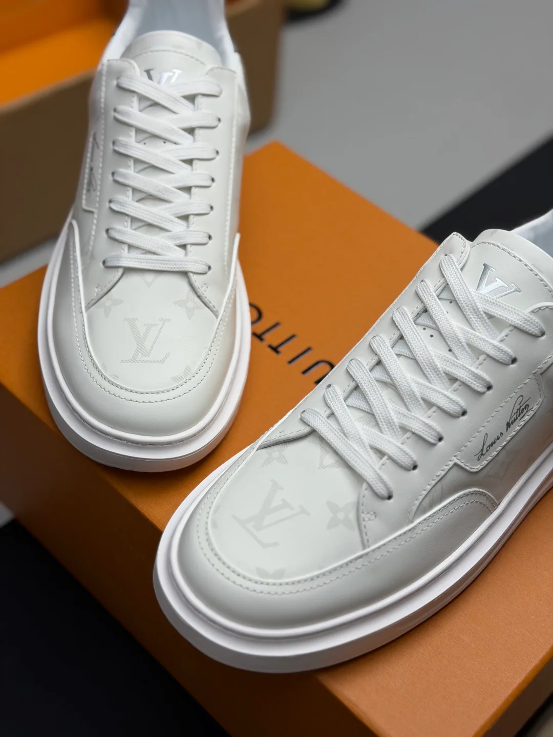 Кроссовки Мужские Louis Vuitton 20155512