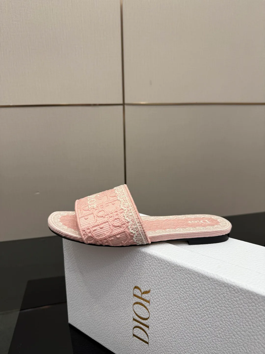 Шлепанцы Женские Christian Dior 1091934