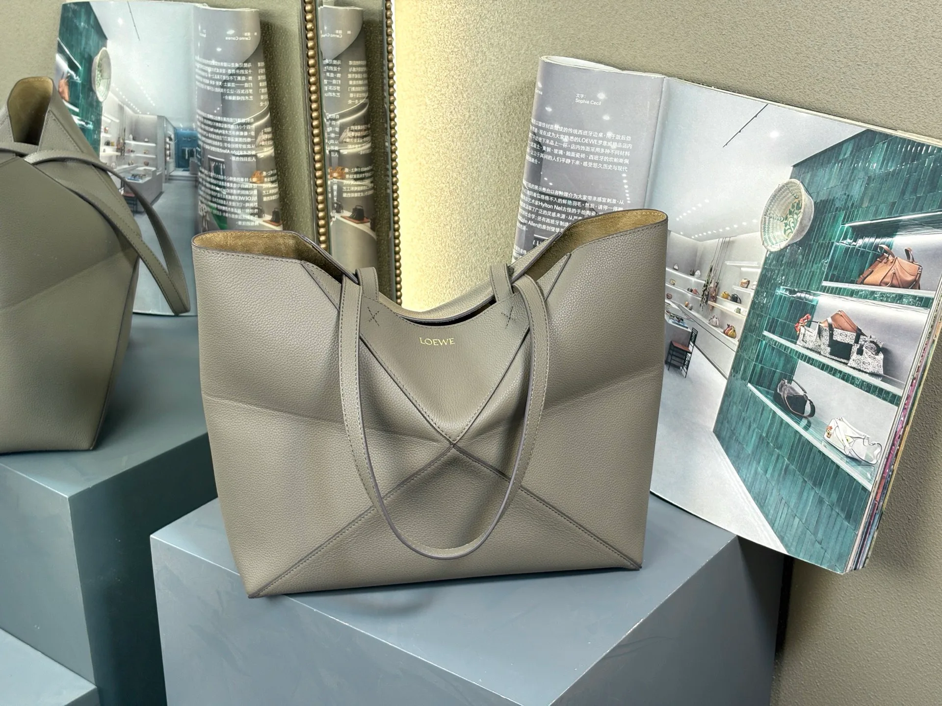 Классические Сумки Женские Loewe 759345