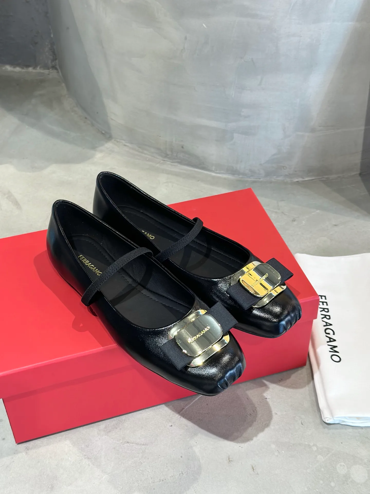 Балетки Женские Salvatore Ferragamo 16891076