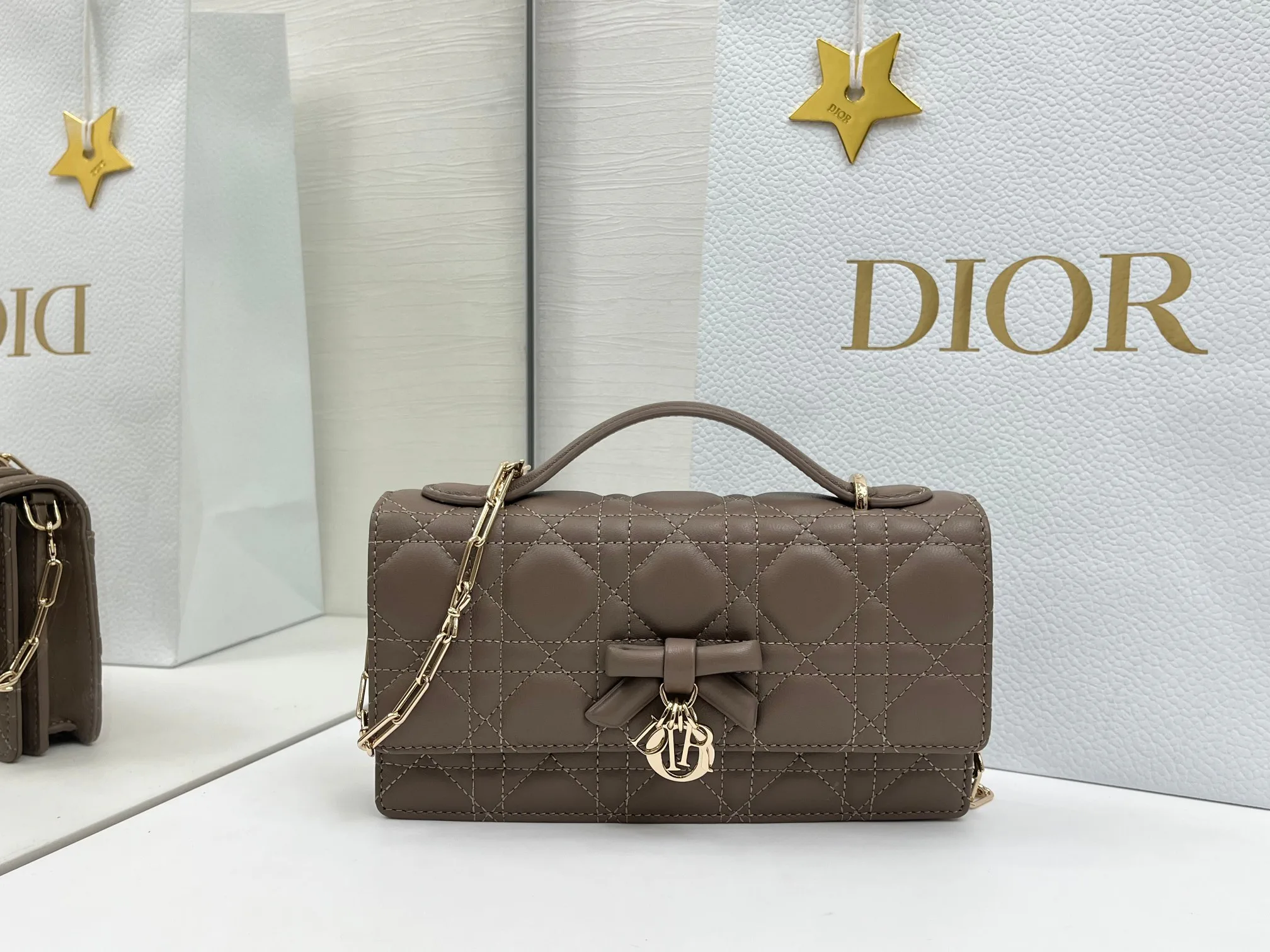 Классические Сумки Женские Christian Dior 11669071