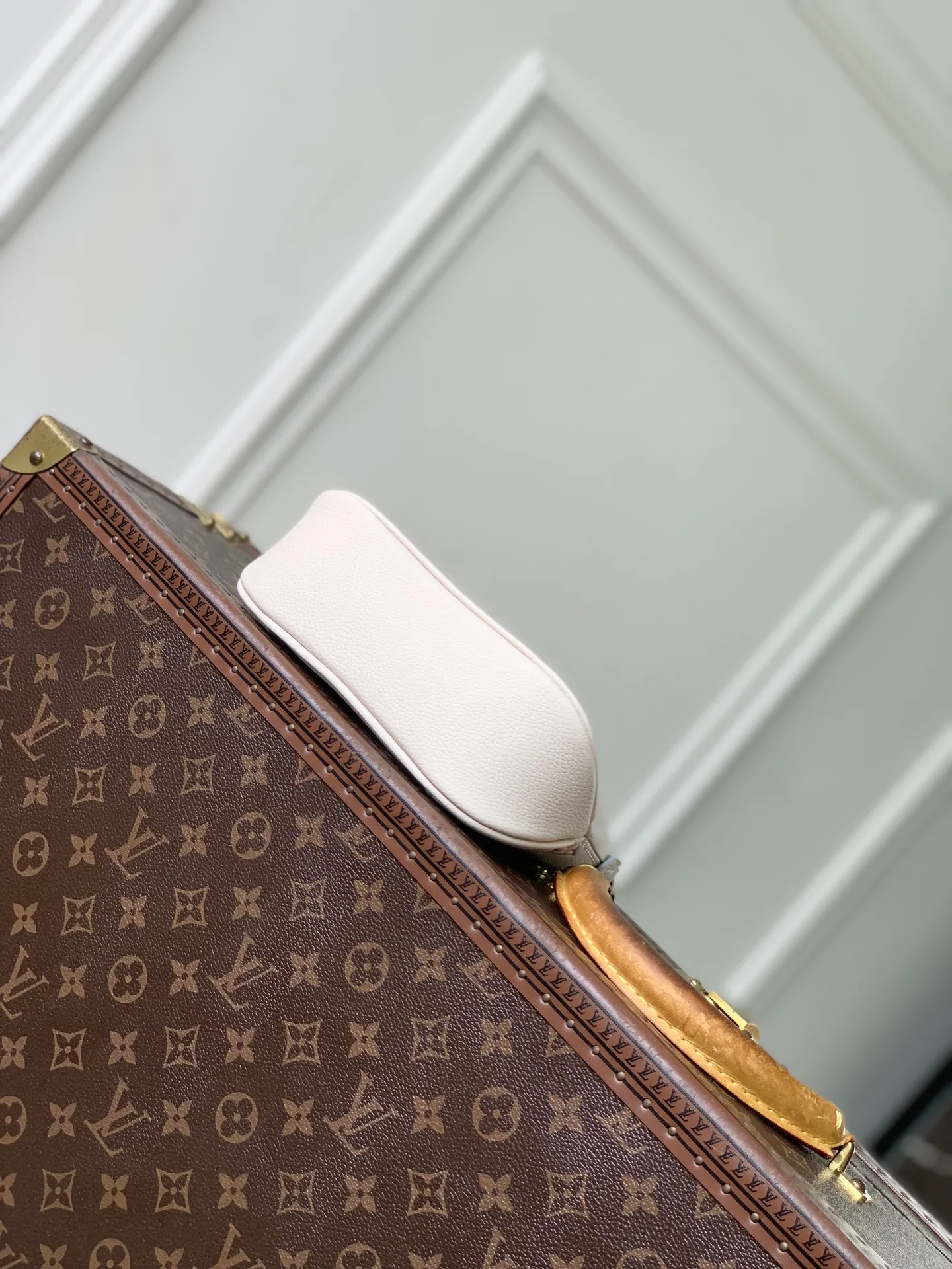 Классические Сумки Женские Louis Vuitton 18147485