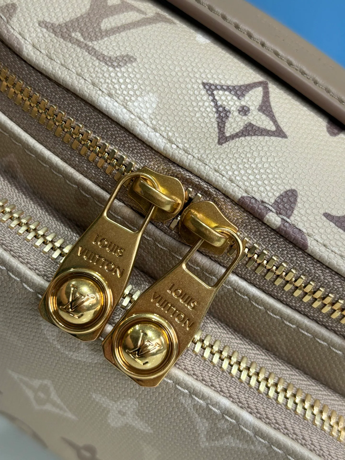 Поясные Сумки Женские Louis Vuitton 14428736