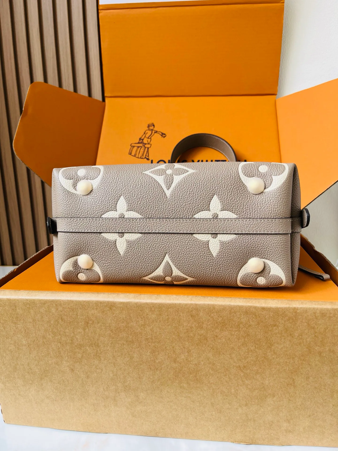 Классические Сумки Женские Louis Vuitton 12569324