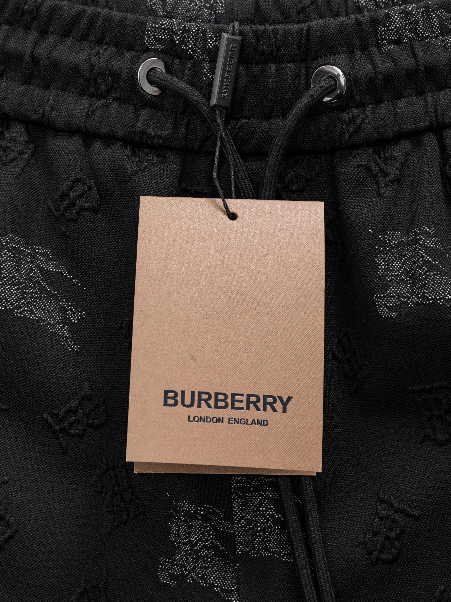 Шорты Мужские Burberry 18000501