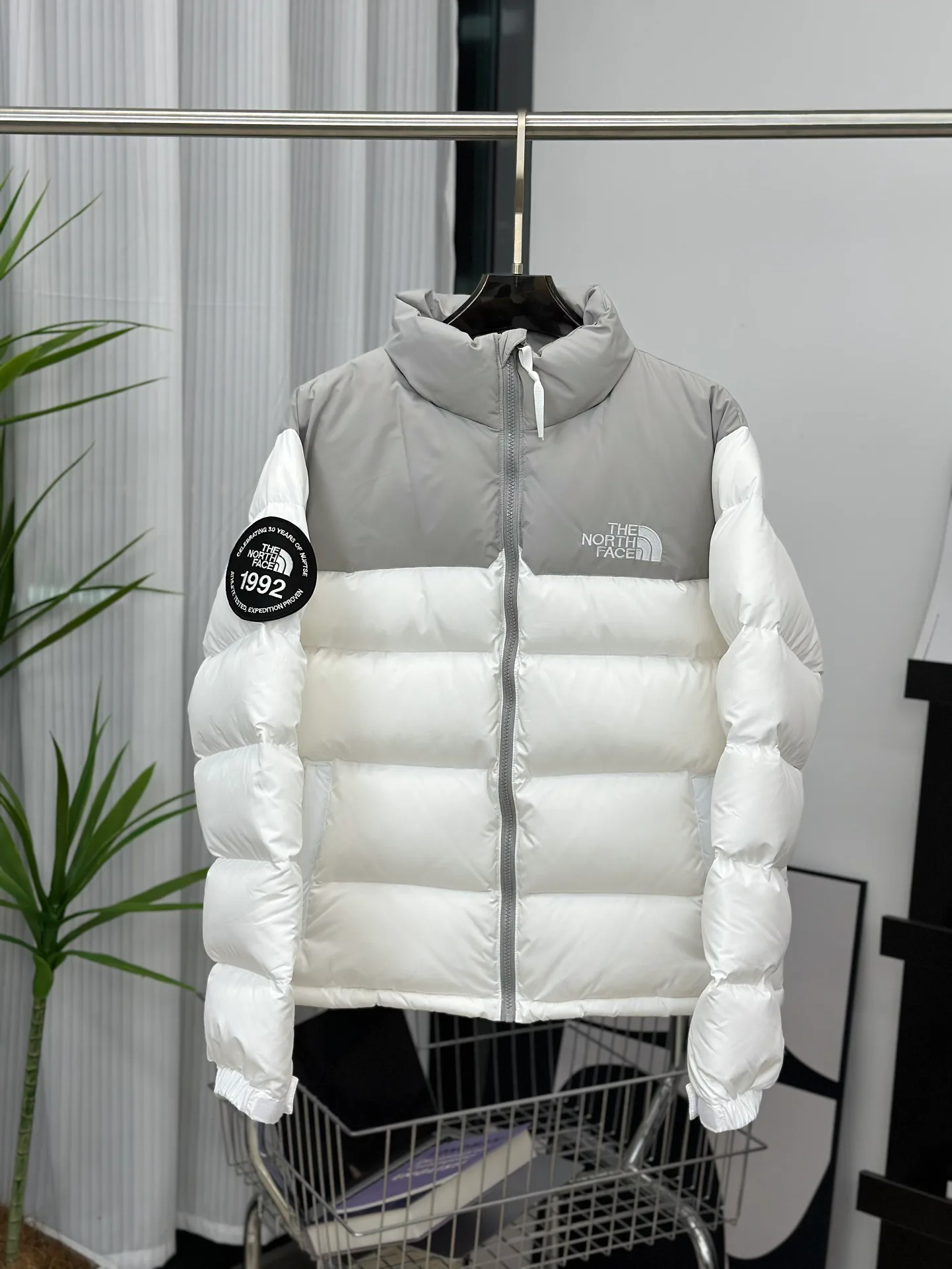Куртки И Пуховики Женские The North Face 18416091