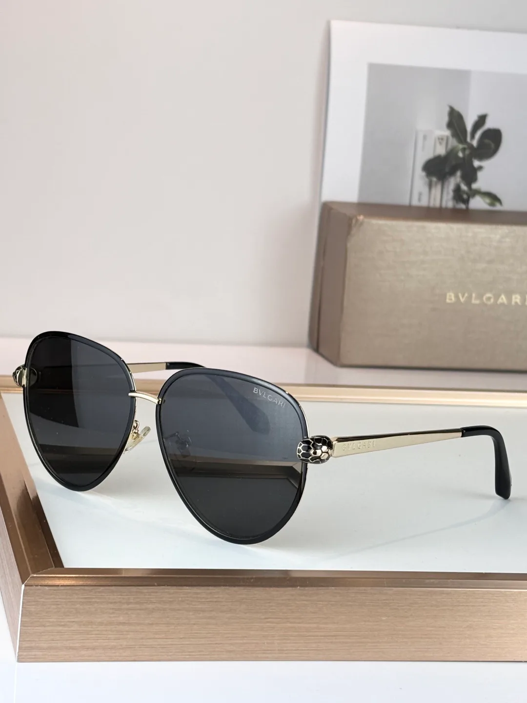 Очки Bvlgari 17700946