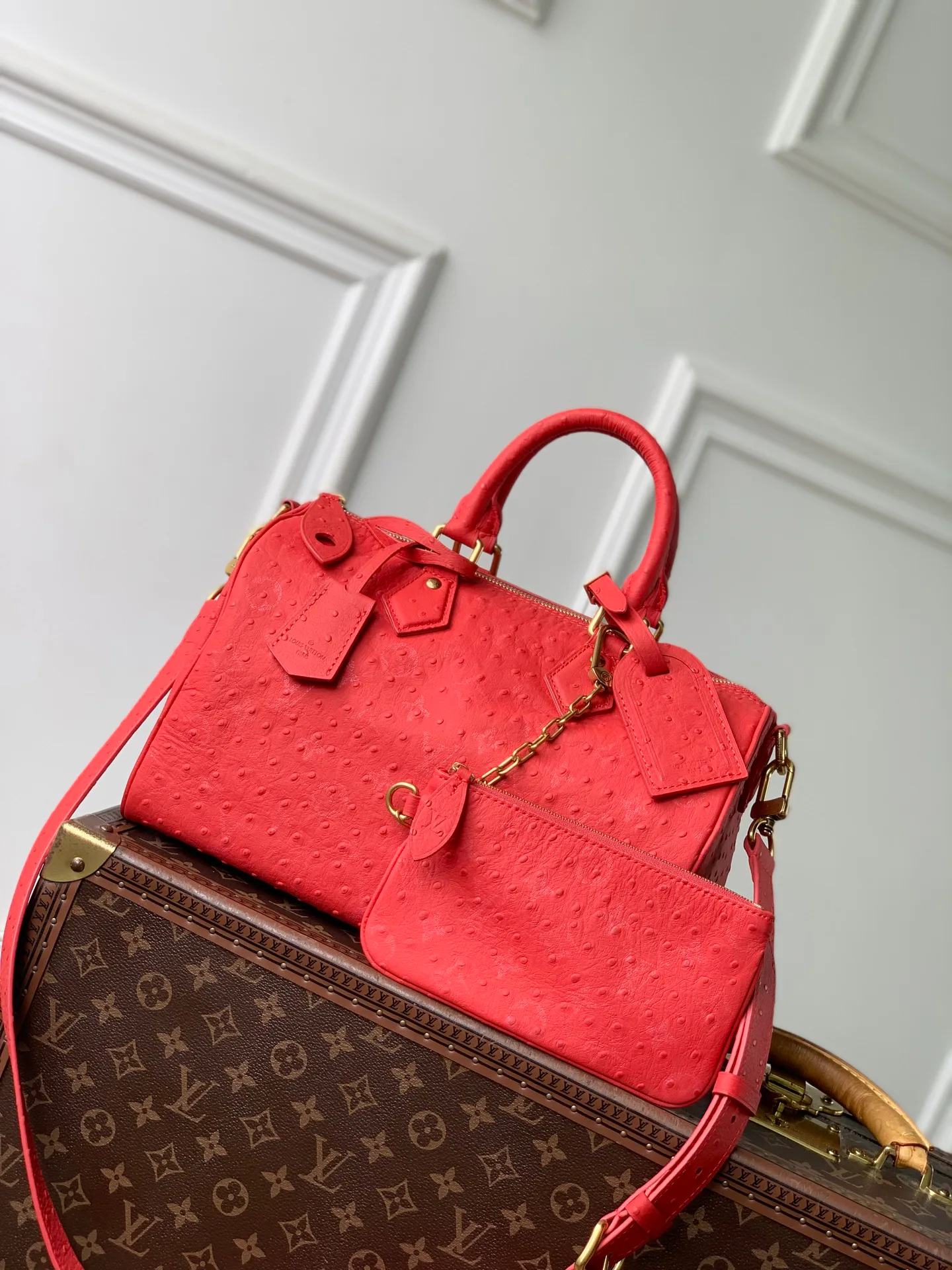 Классические Сумки Женские Louis Vuitton 18147439