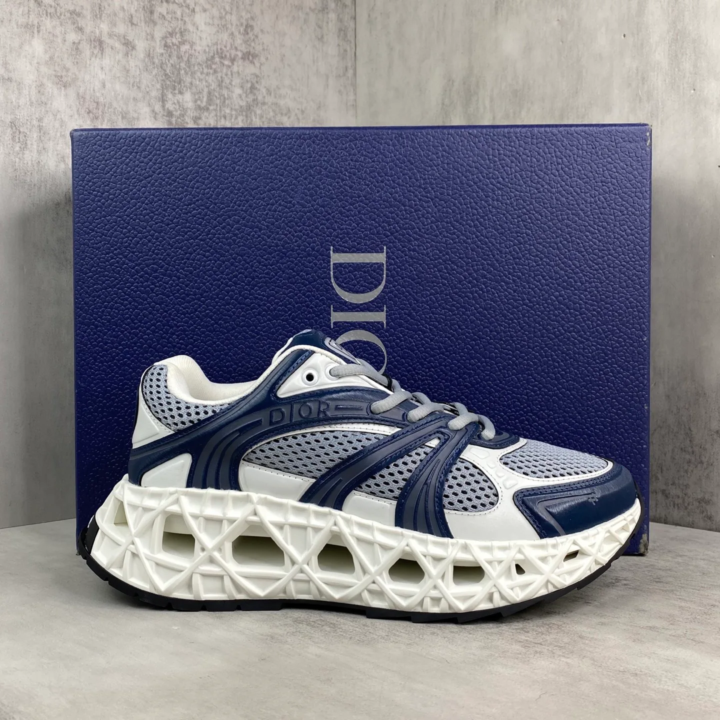 Кроссовки Женские Christian Dior 476861