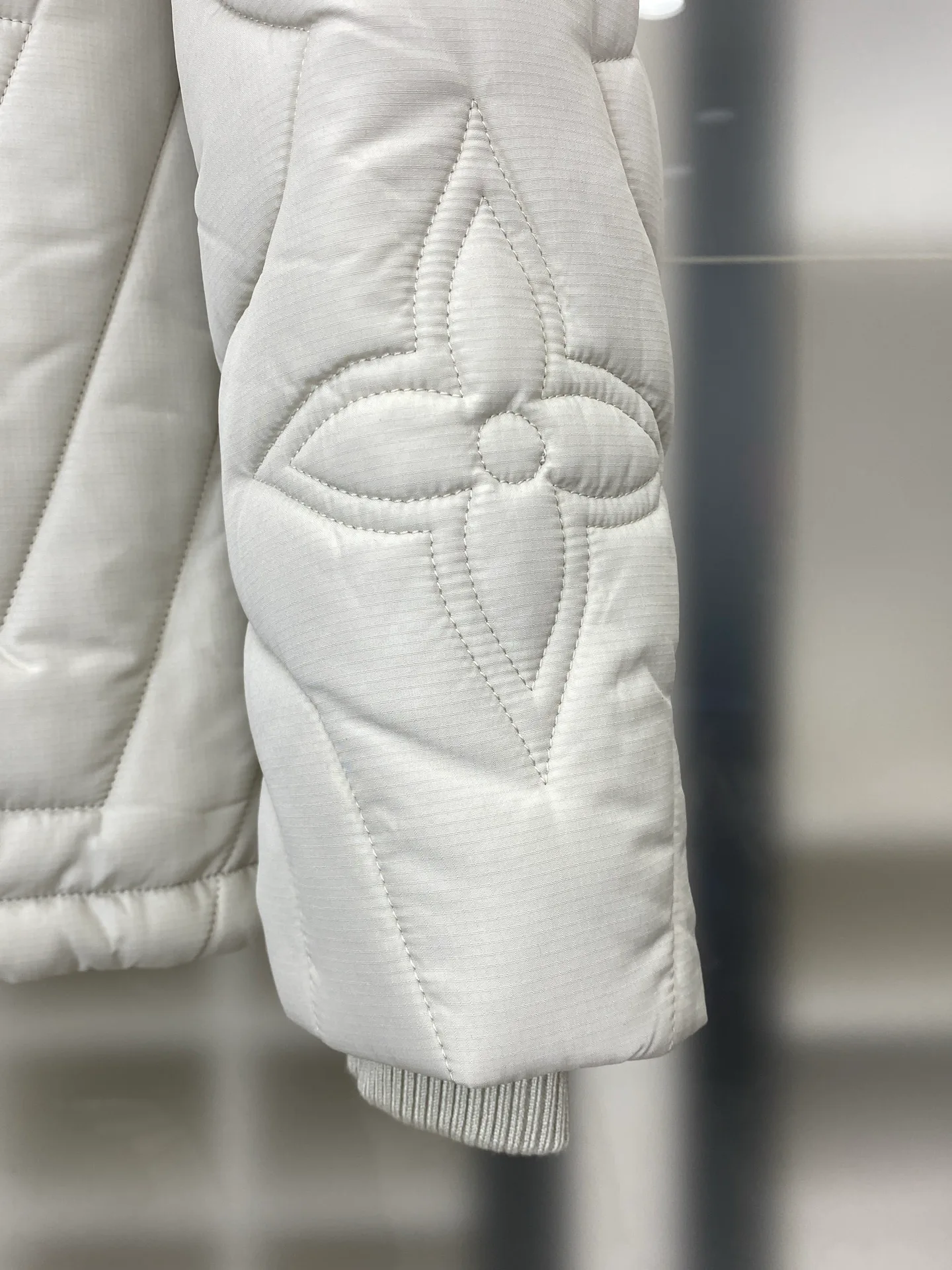 Куртки И Пуховики Мужские Louis Vuitton 792420