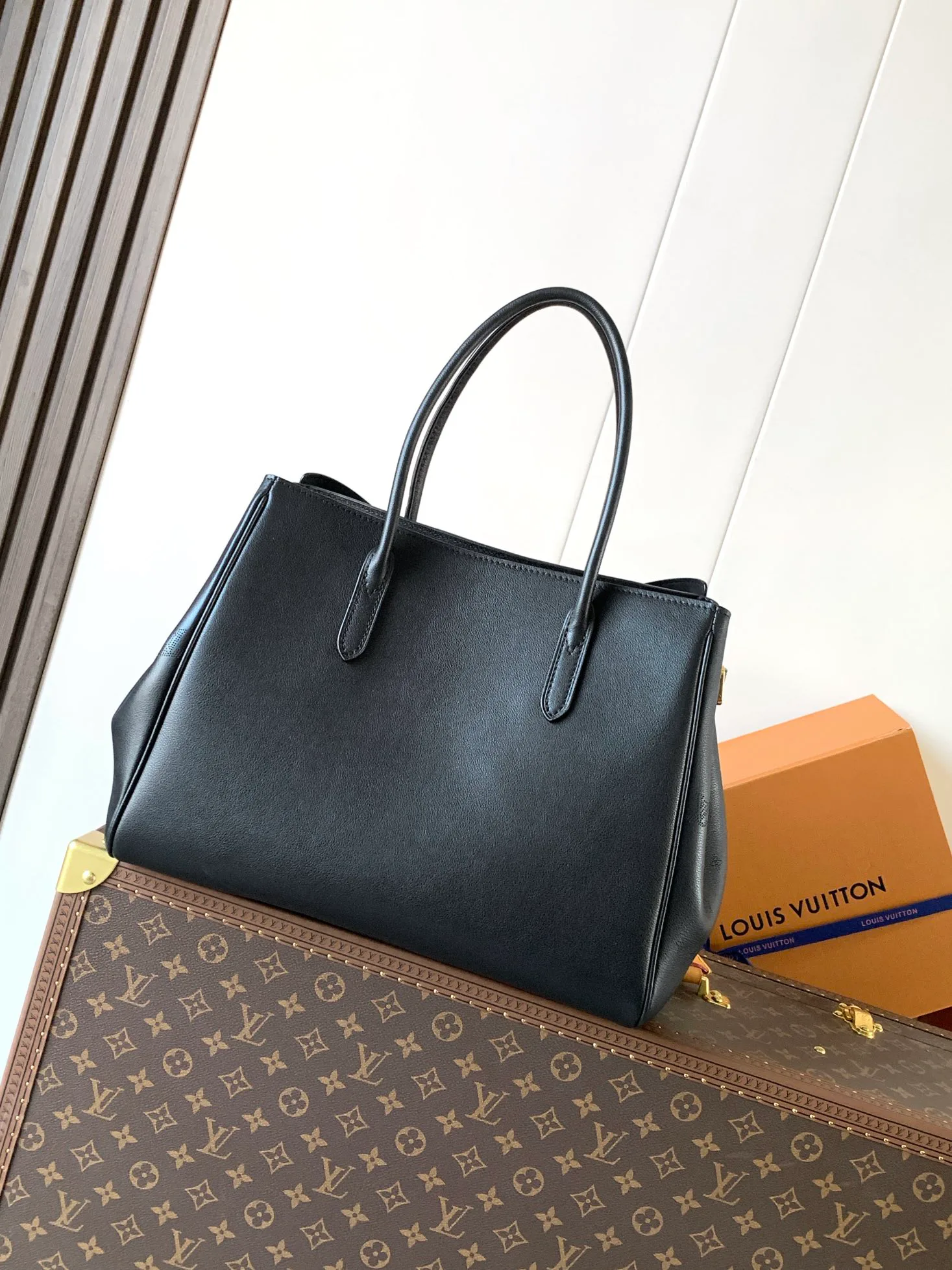 Классические Сумки Женские Louis Vuitton 536050