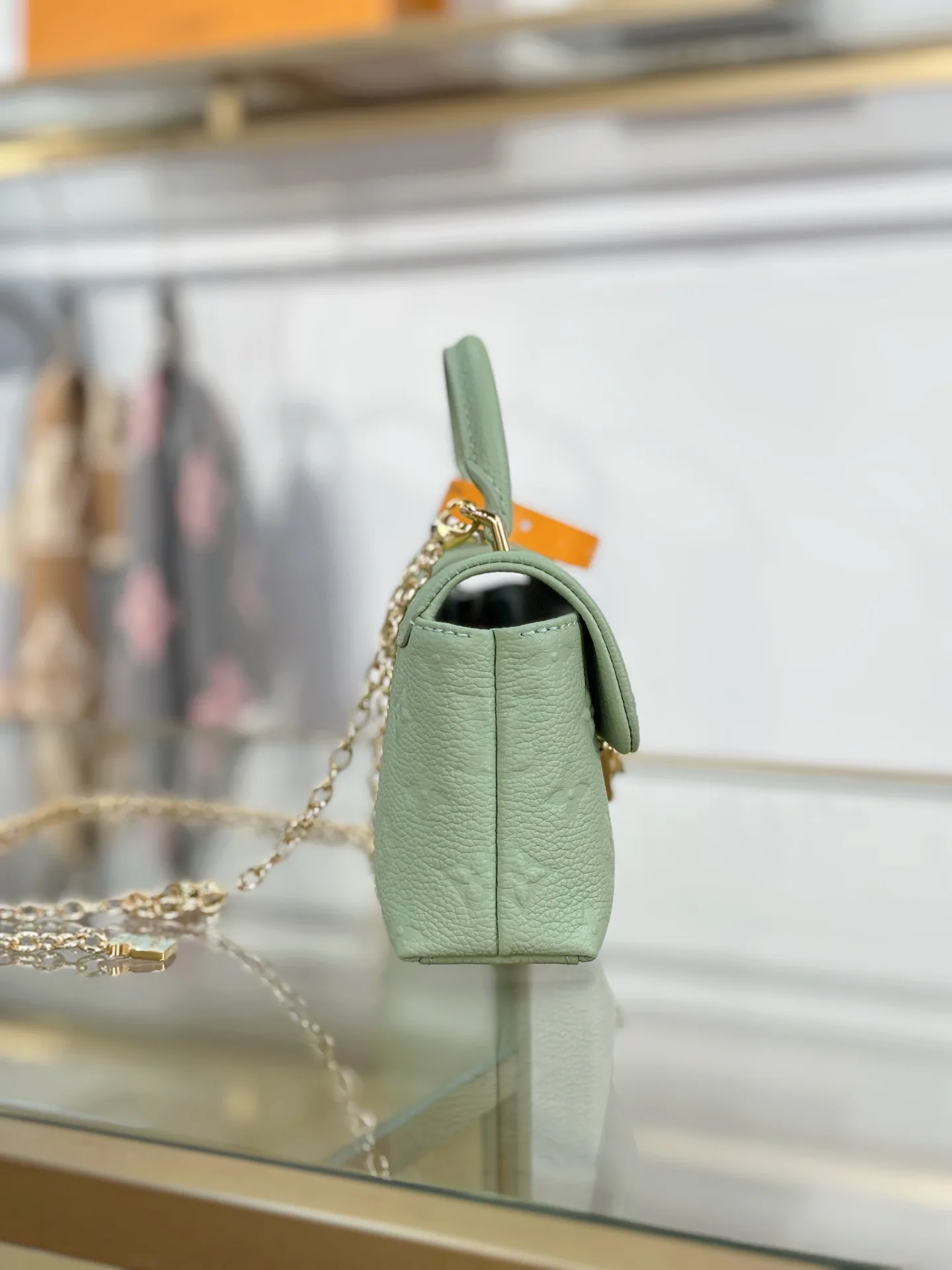 Классические Сумки Женские Louis Vuitton 17979805