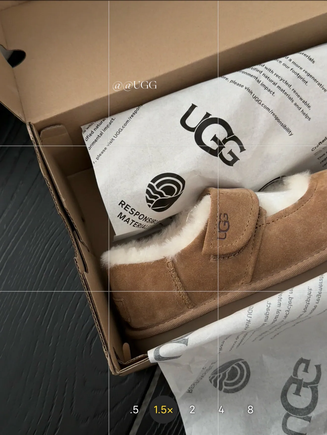 Угги Женские Ugg 17926091