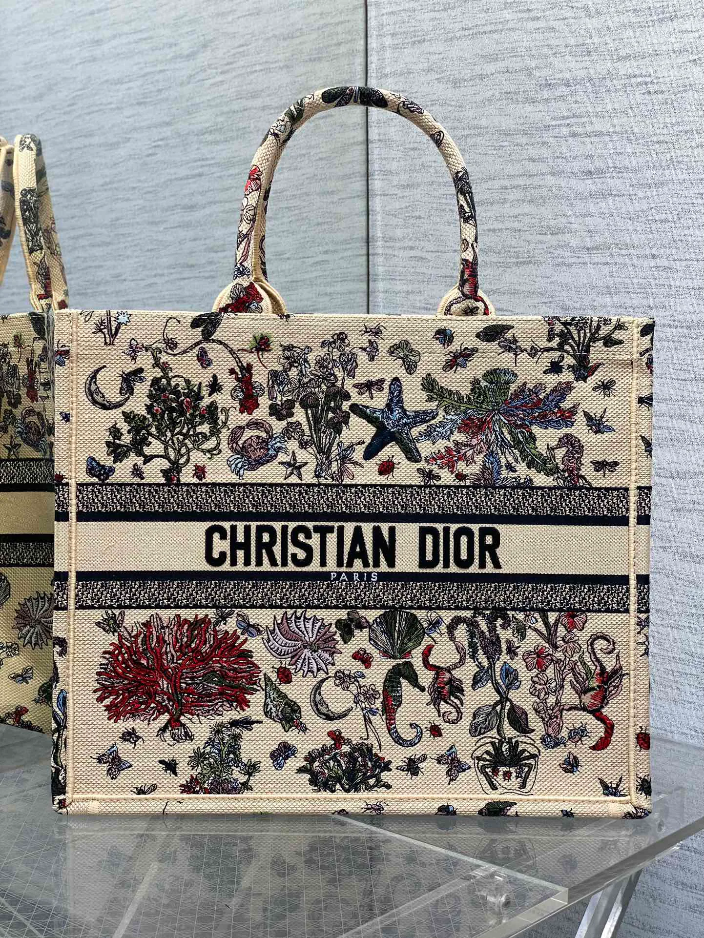 Классические Сумки Женские Christian Dior 13227182