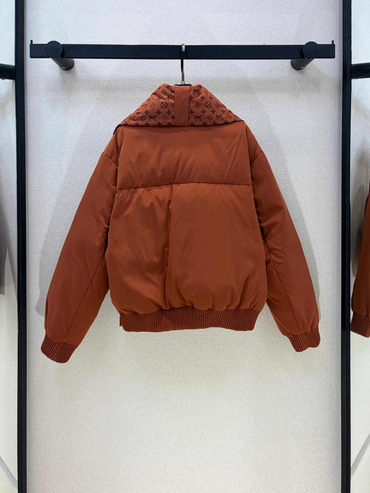 Куртки И Пуховики Женские Louis Vuitton 19074900