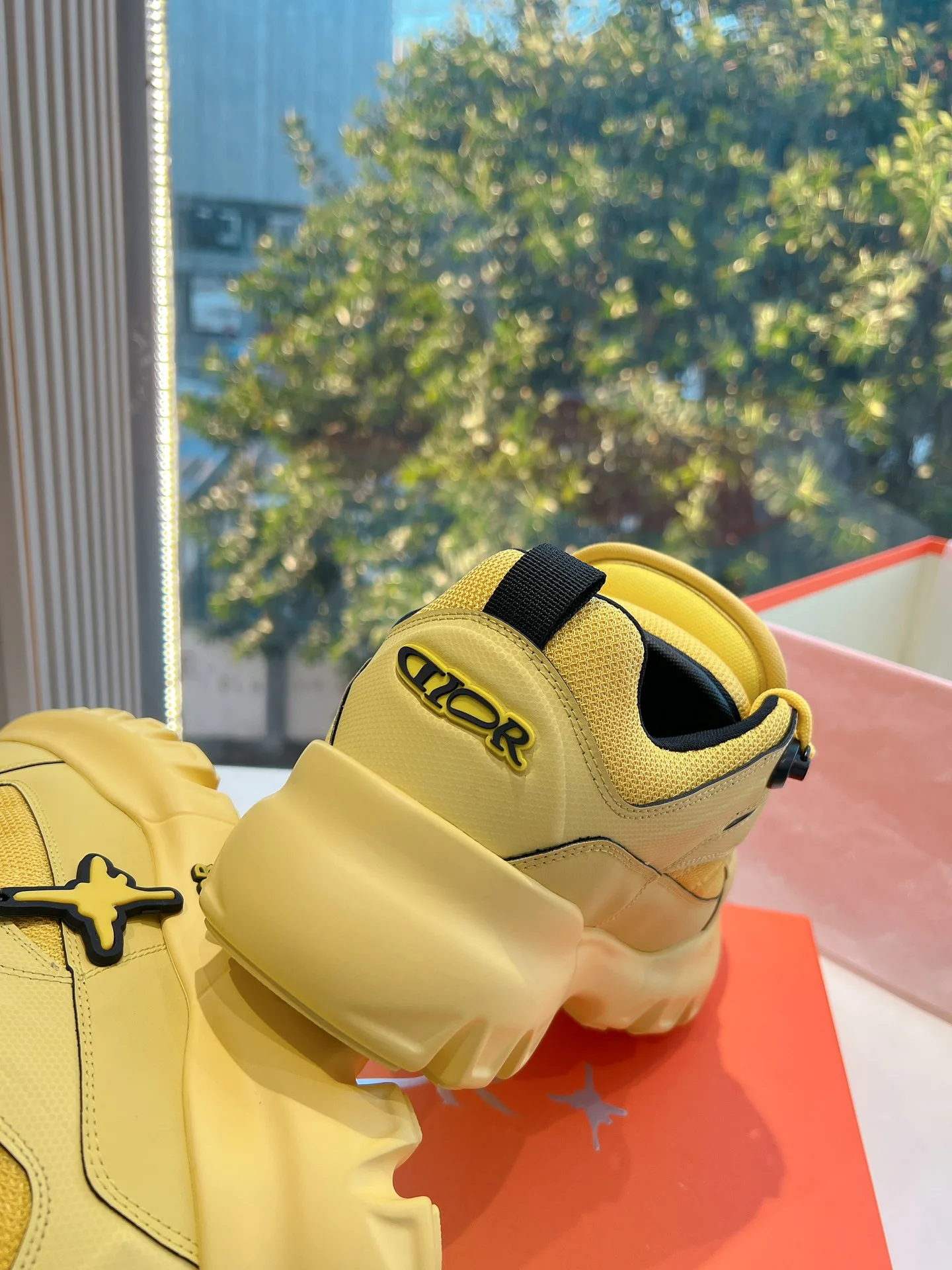 Кроссовки Женские Christian Dior 14433