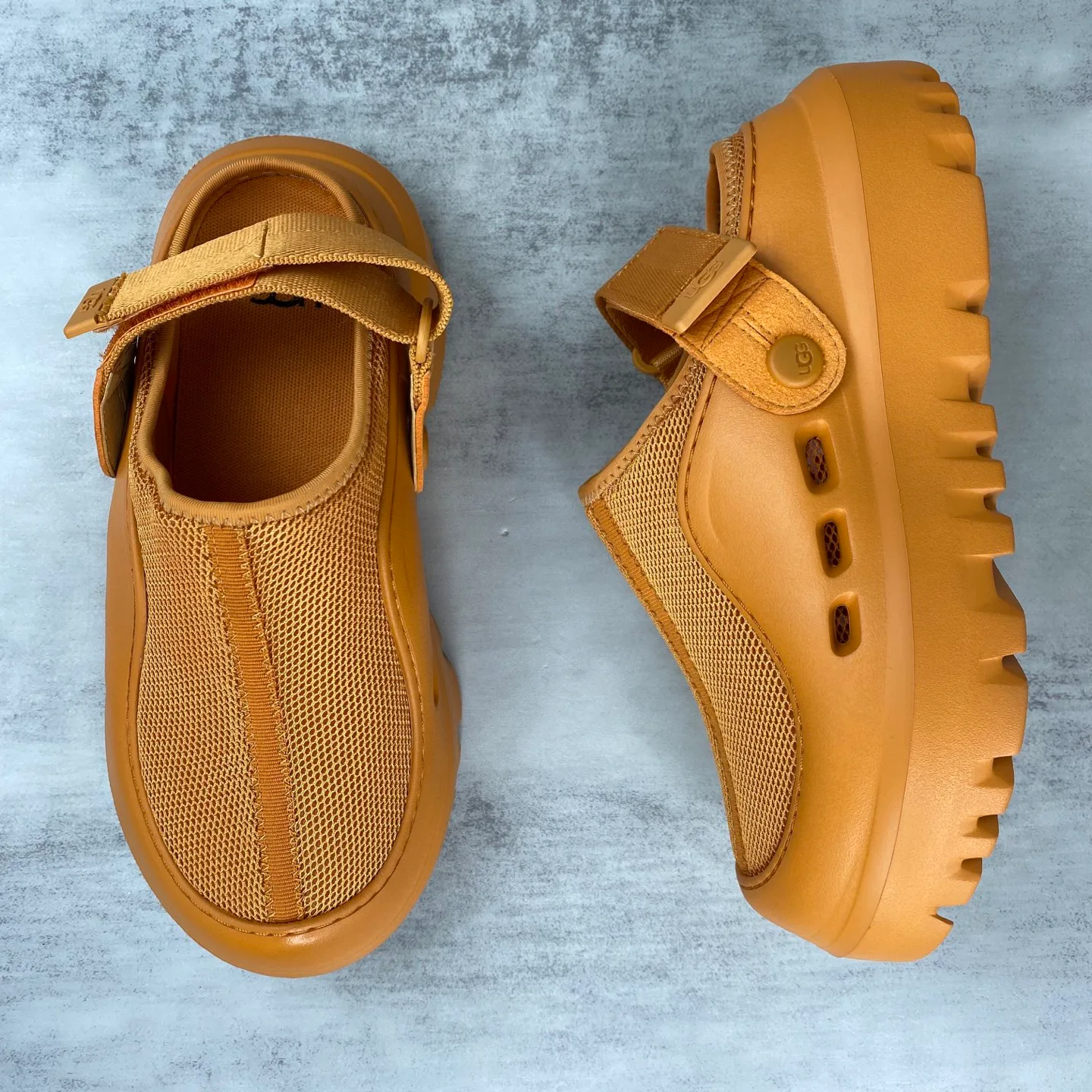 Тапочки Женские Ugg 599465