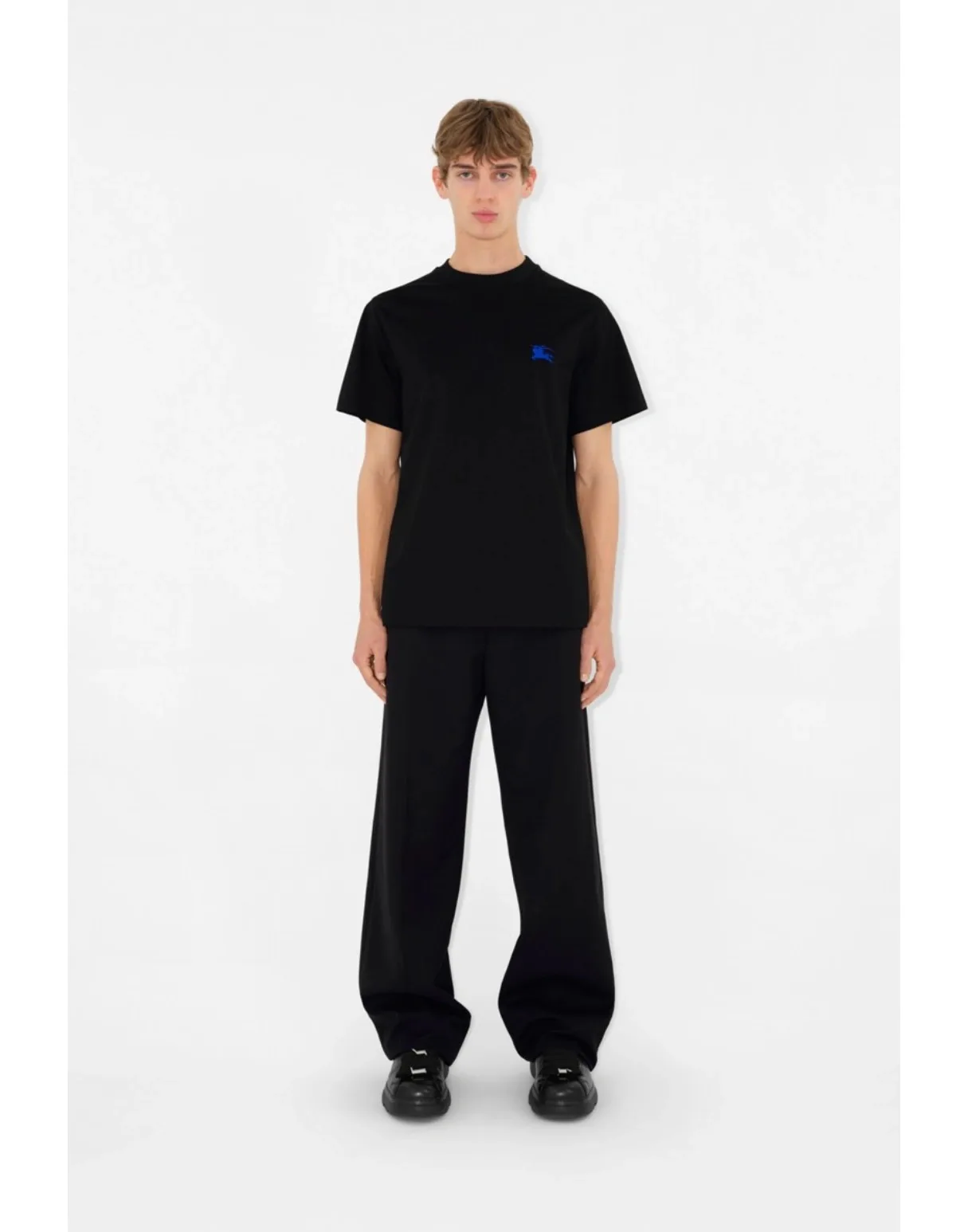 Футболки Мужские Burberry 20019