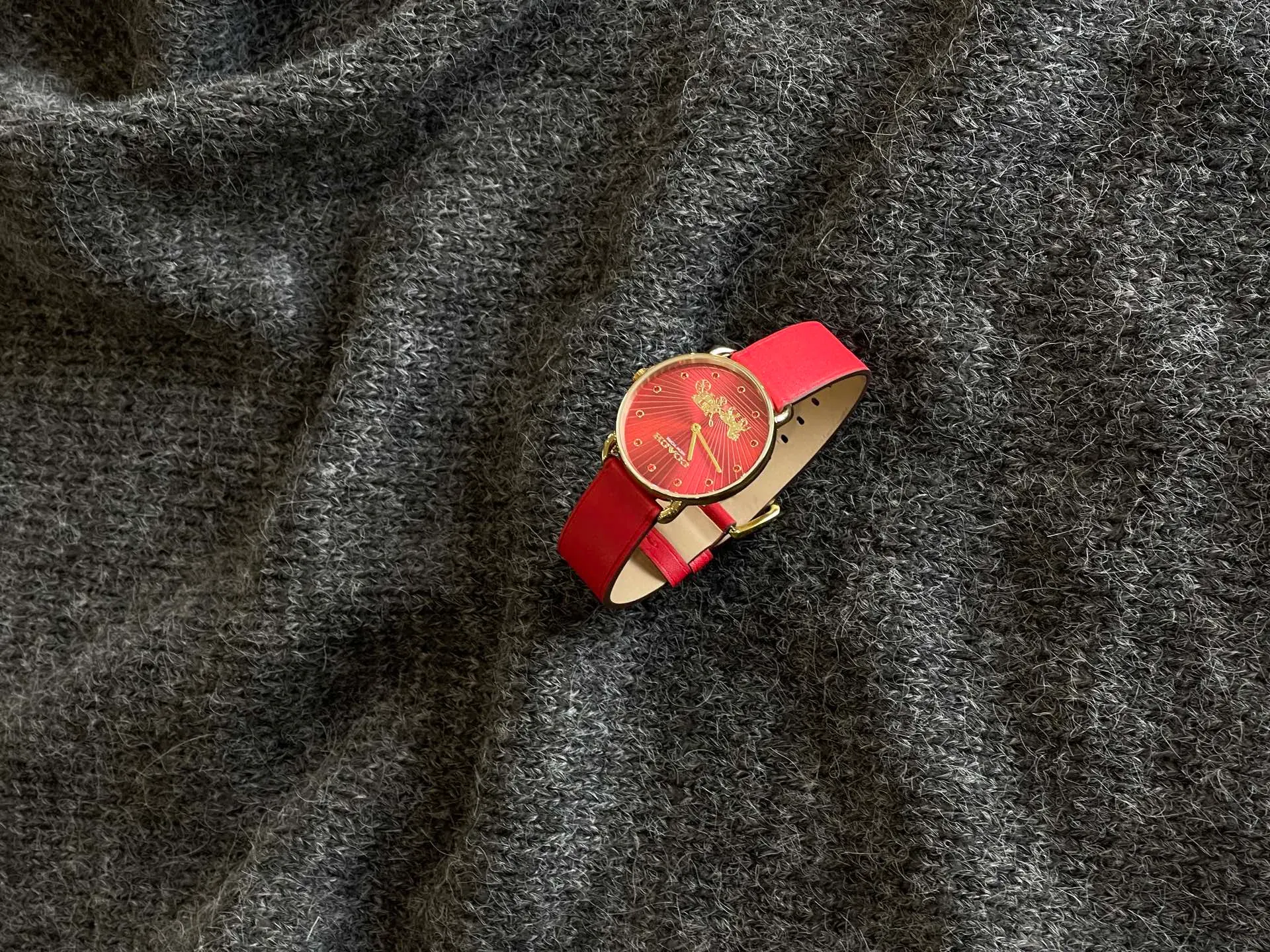 Часы Женские Coach 3409378