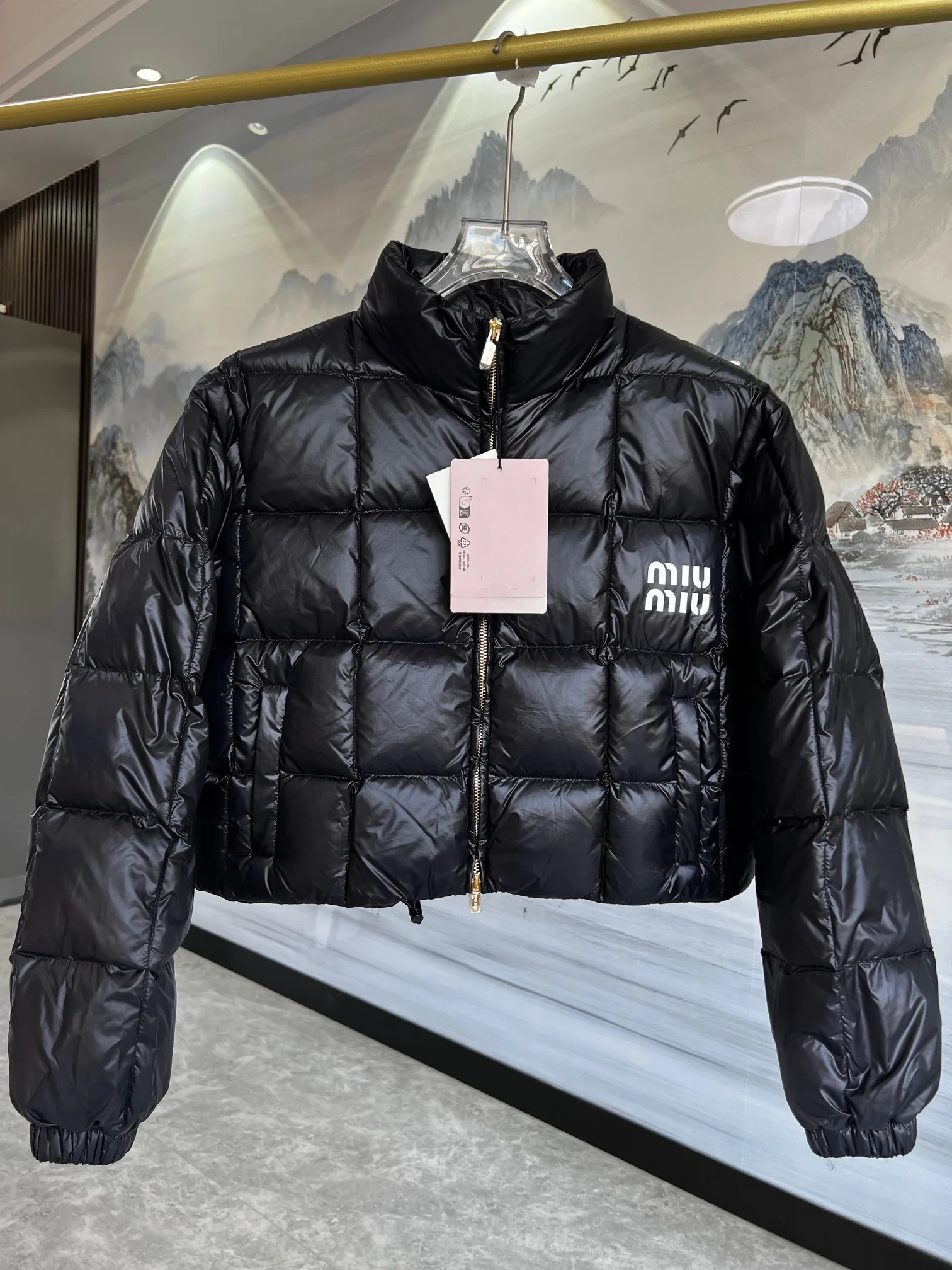 Куртки И Пуховики Женские Miu Miu 3612961