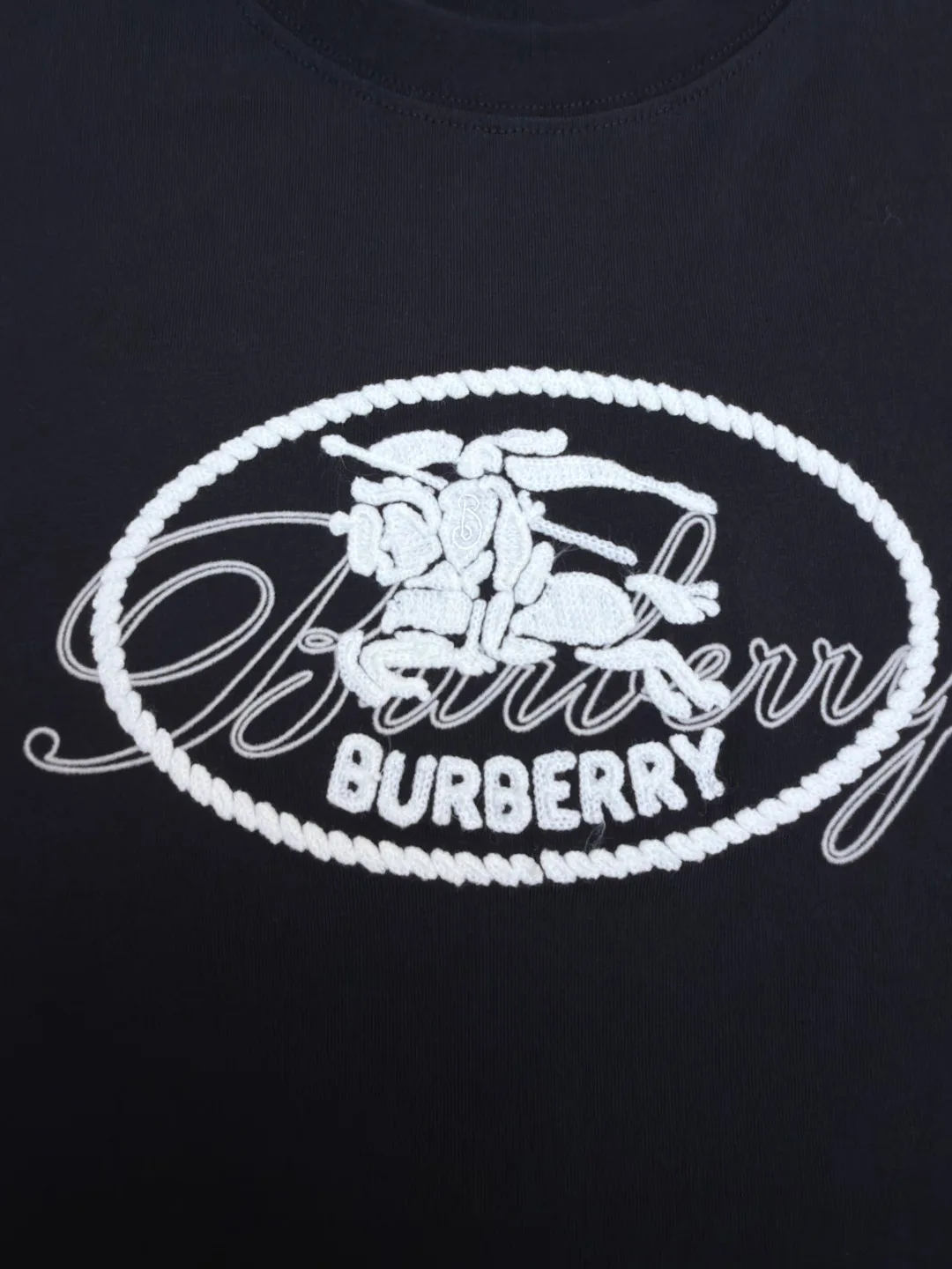 Футболки Мужские Burberry 6839574