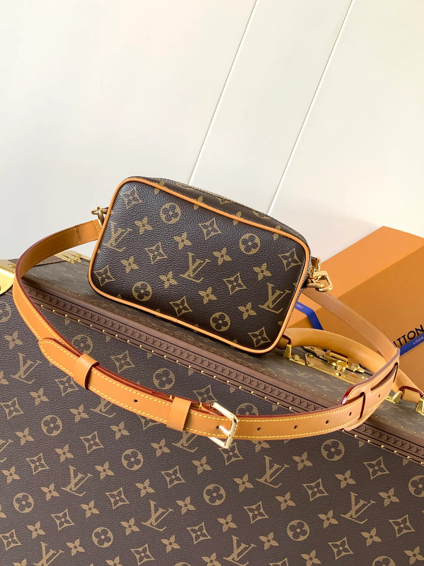 Сумки На Ремне Женские Louis Vuitton 3885417