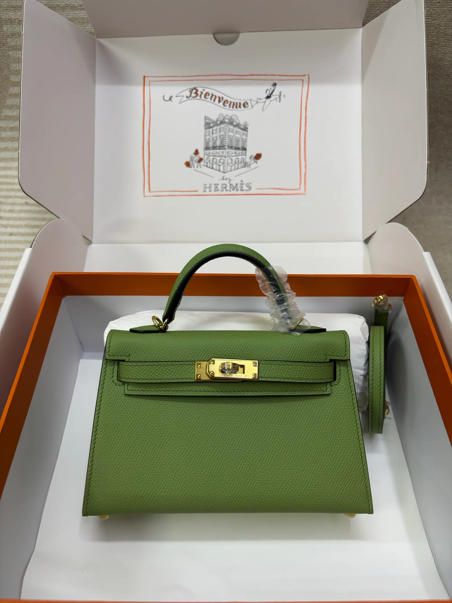 Классические Сумки Женские Hermes 17293562