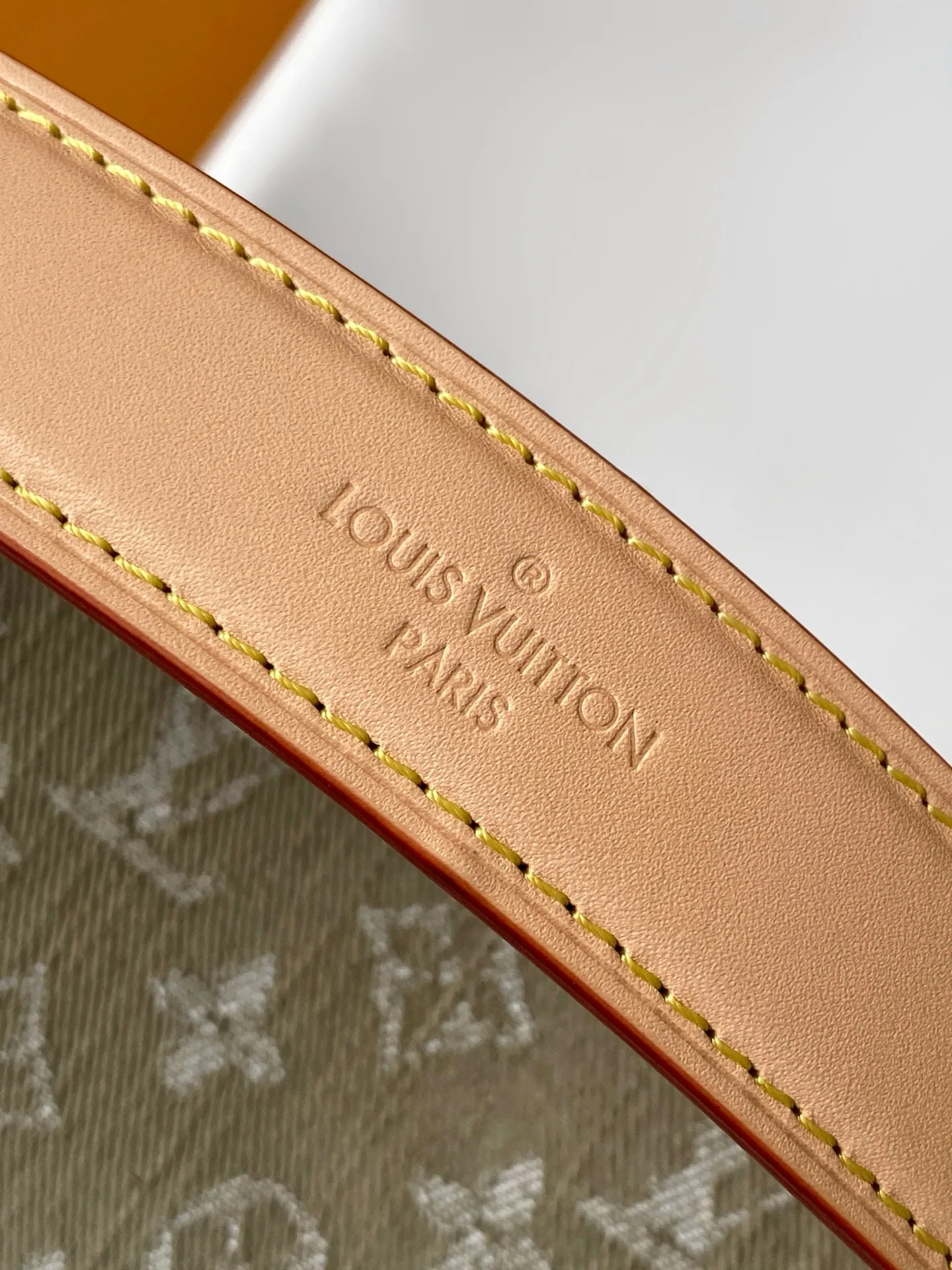 Классические Сумки Женские Louis Vuitton 13435273