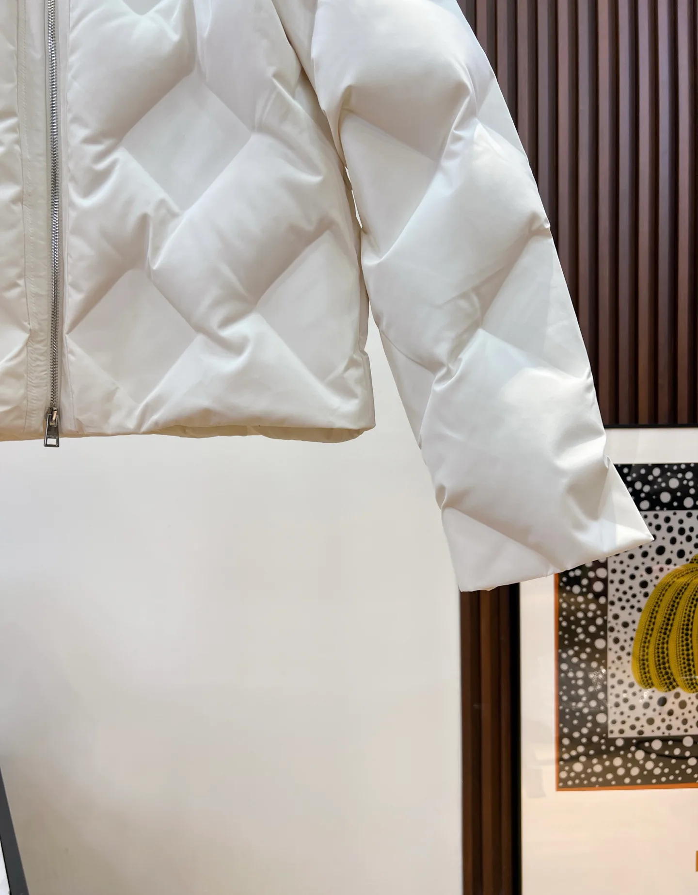 Куртки И Пуховики Женские Fendi 18279528