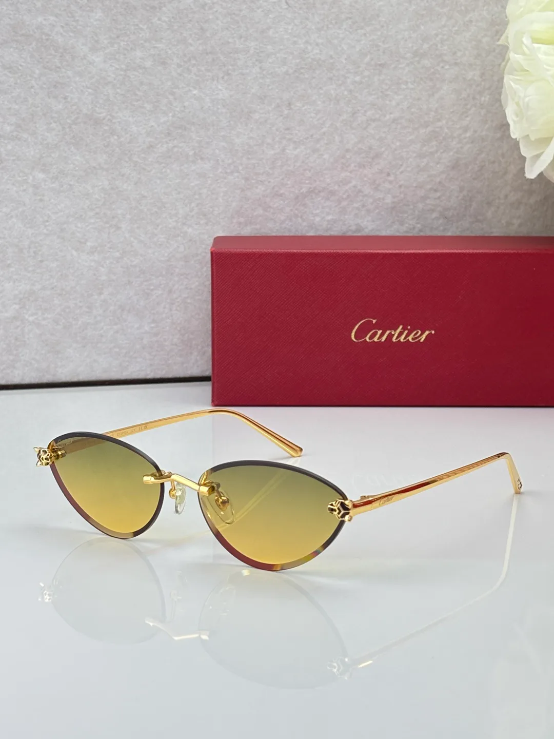 Очки Cartier 18441803