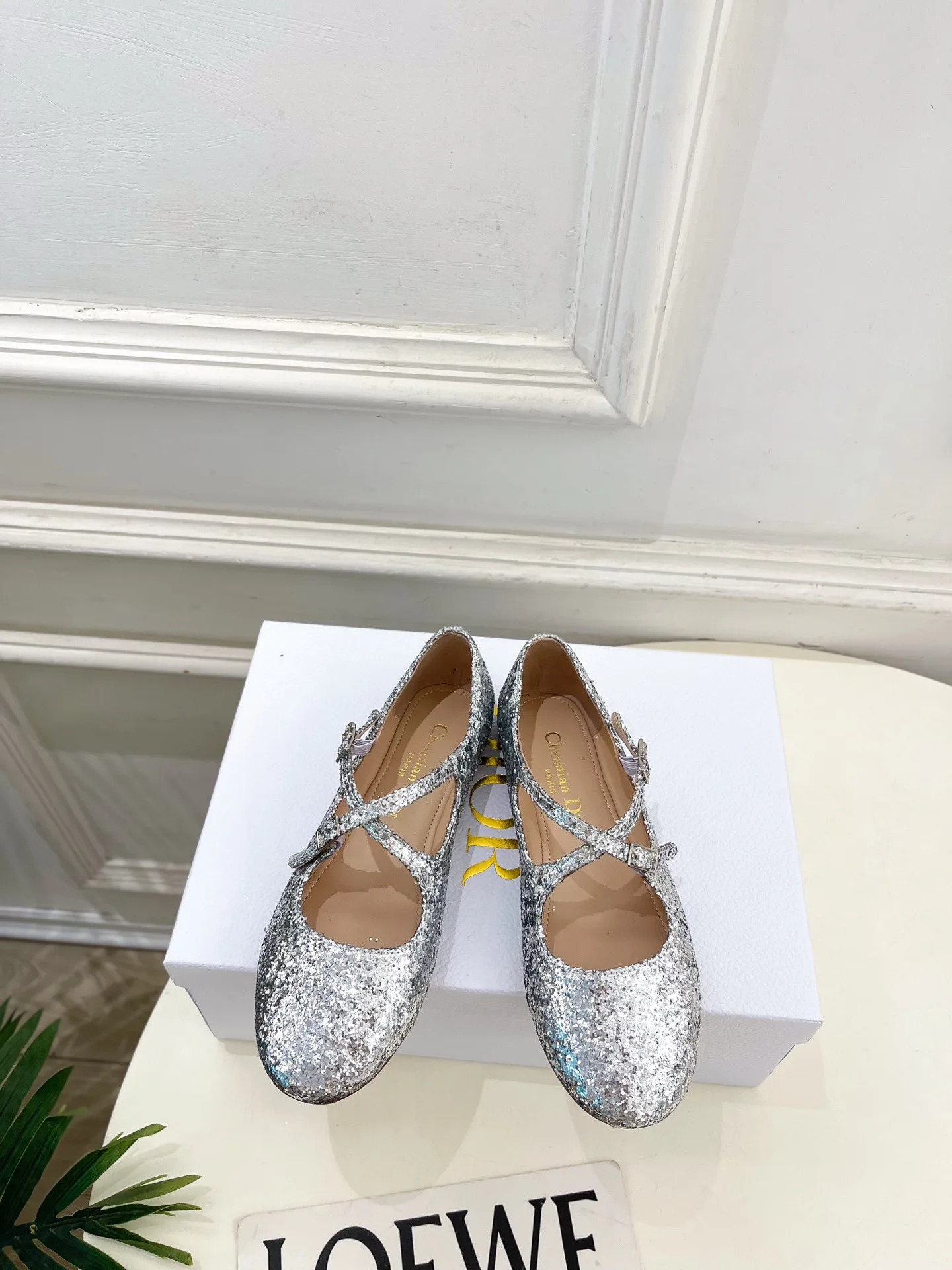Балетки Женские Christian Dior 12601474