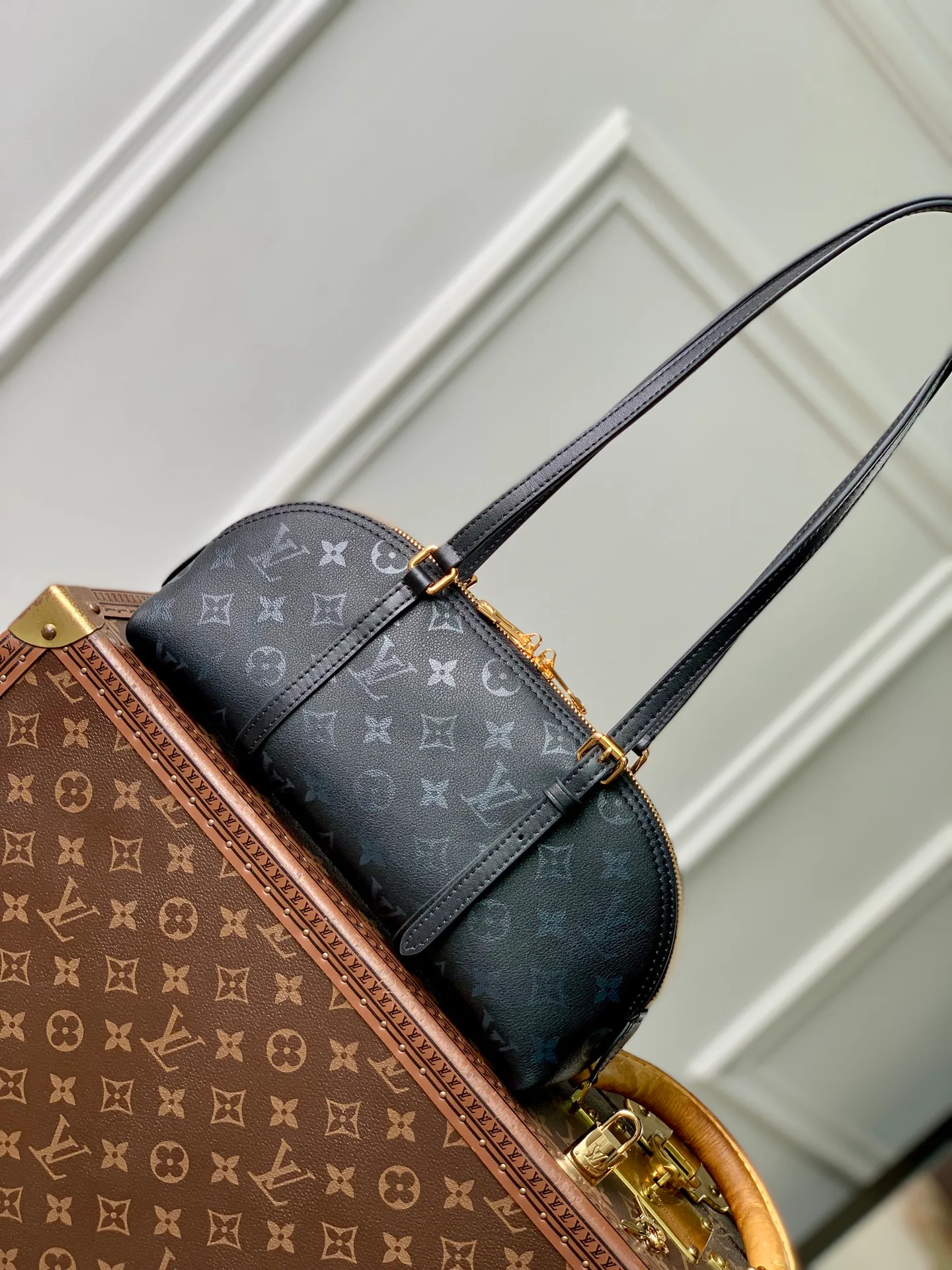 Классические Сумки Женские Louis Vuitton 18147459