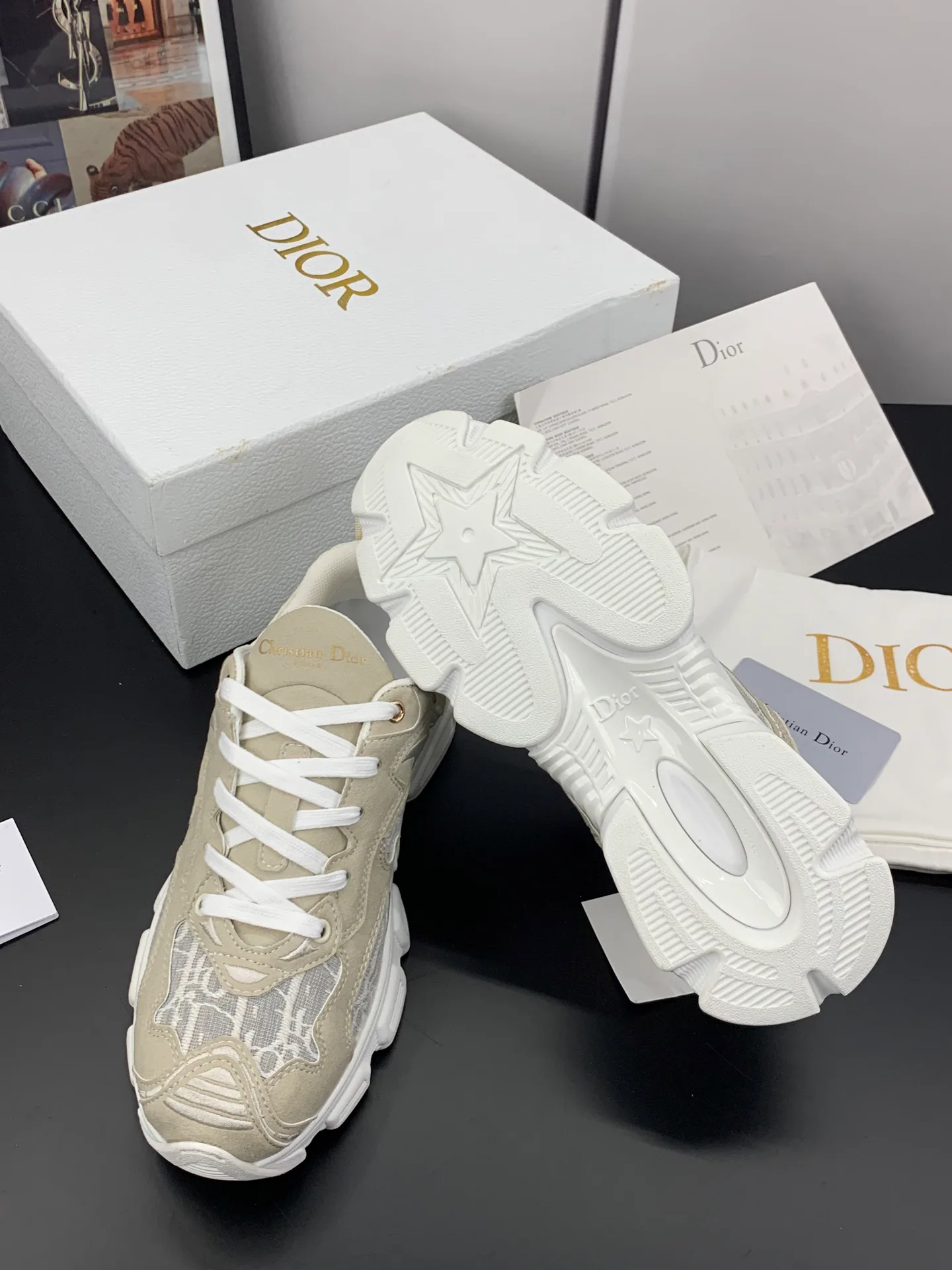 Кроссовки Женские Christian Dior 17545285