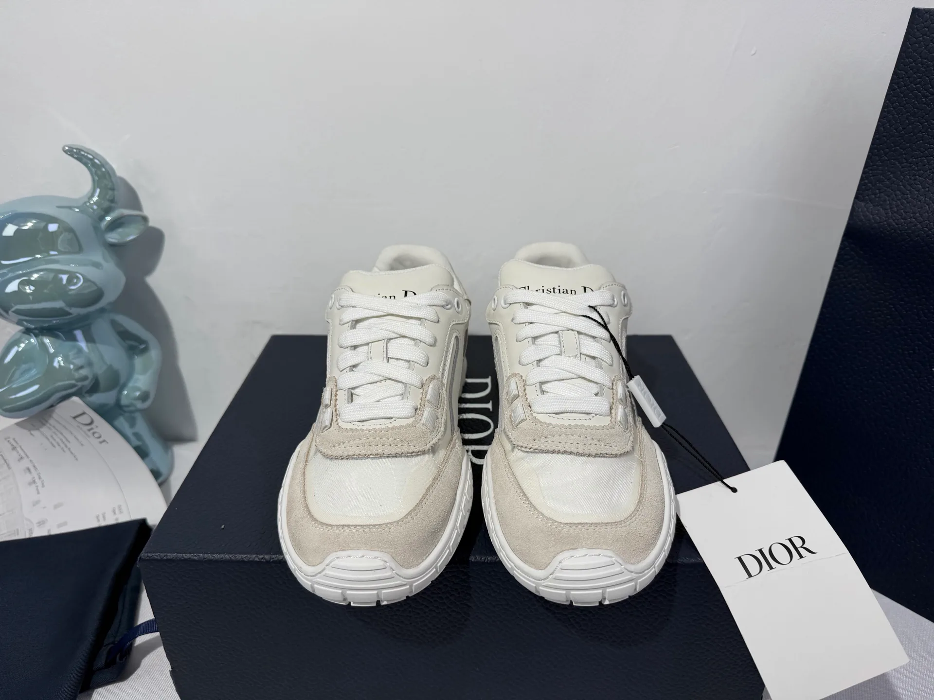 Кроссовки Женские Christian Dior 4705666