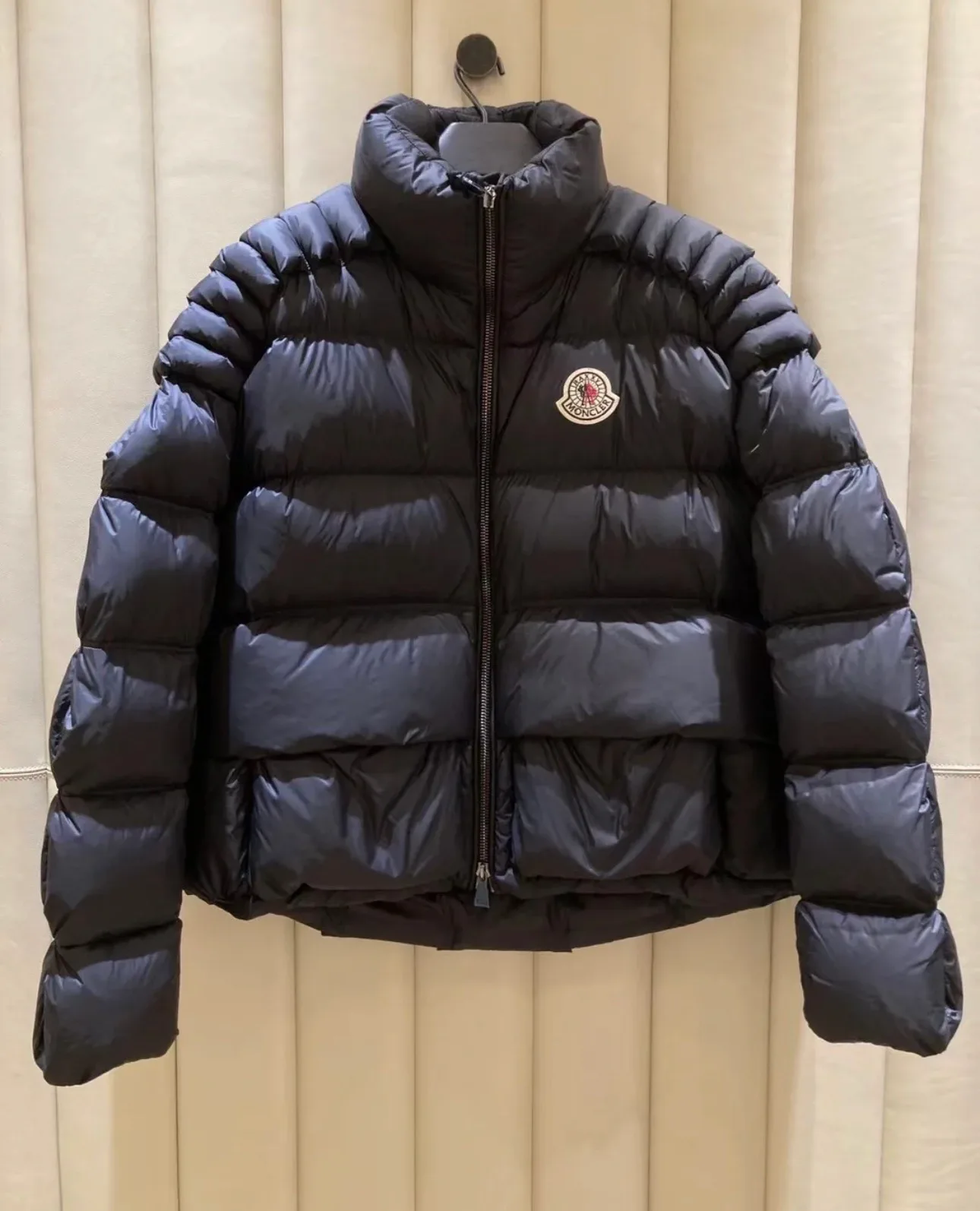 Куртки И Пуховики Женские Moncler 18130166