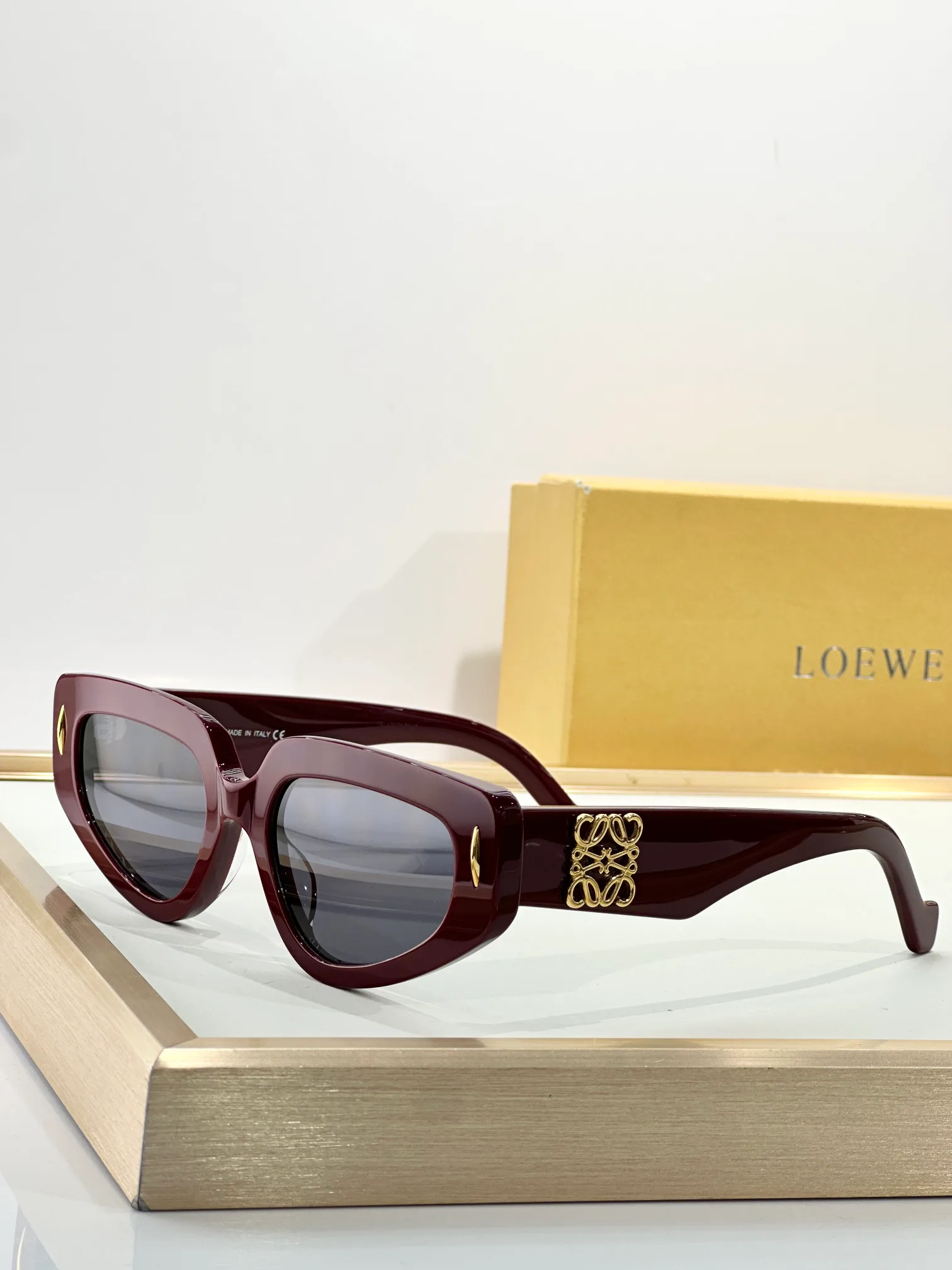 Очки Loewe 199766