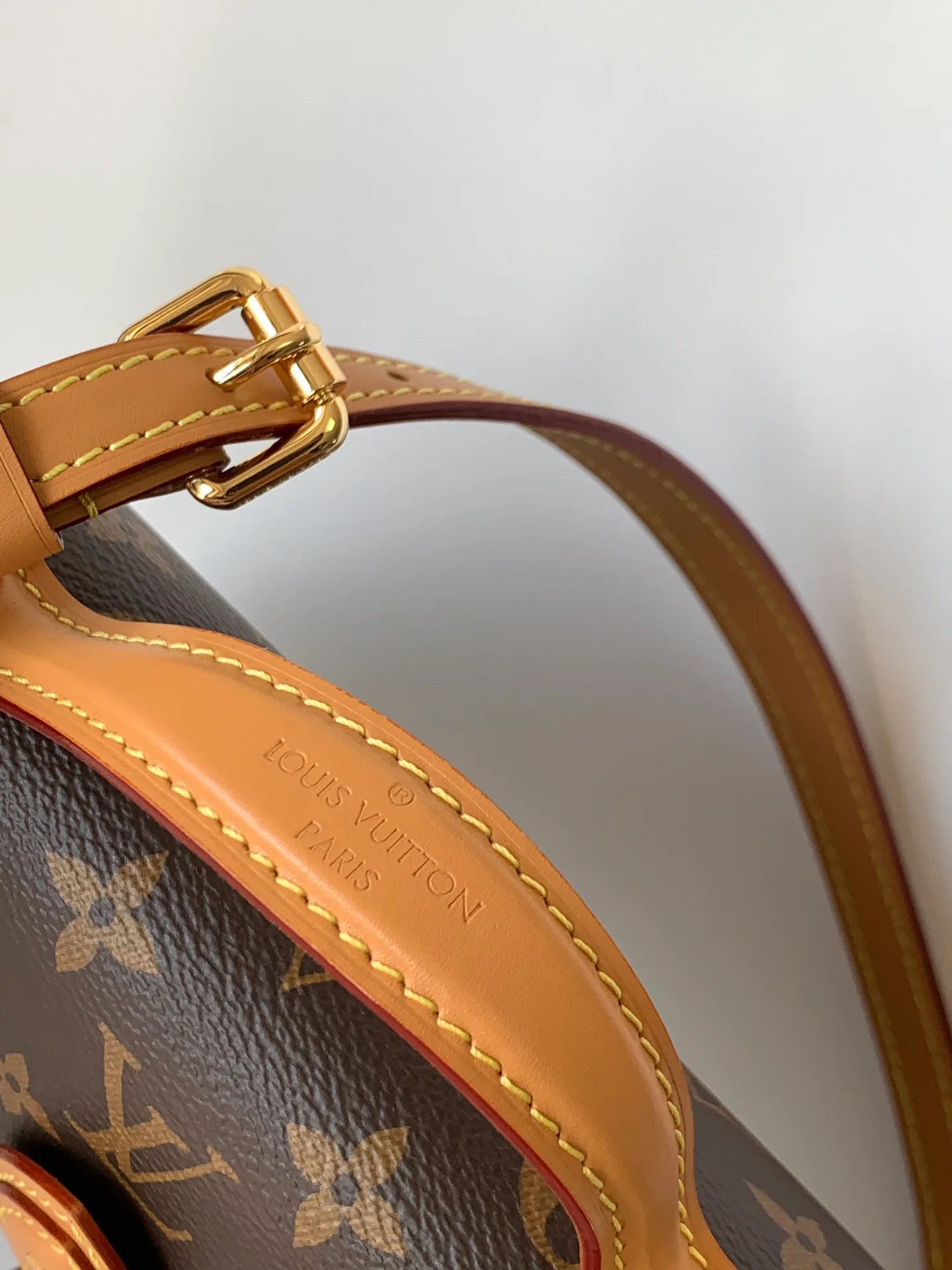 Сумки На Ремне Женские Louis Vuitton 1253939