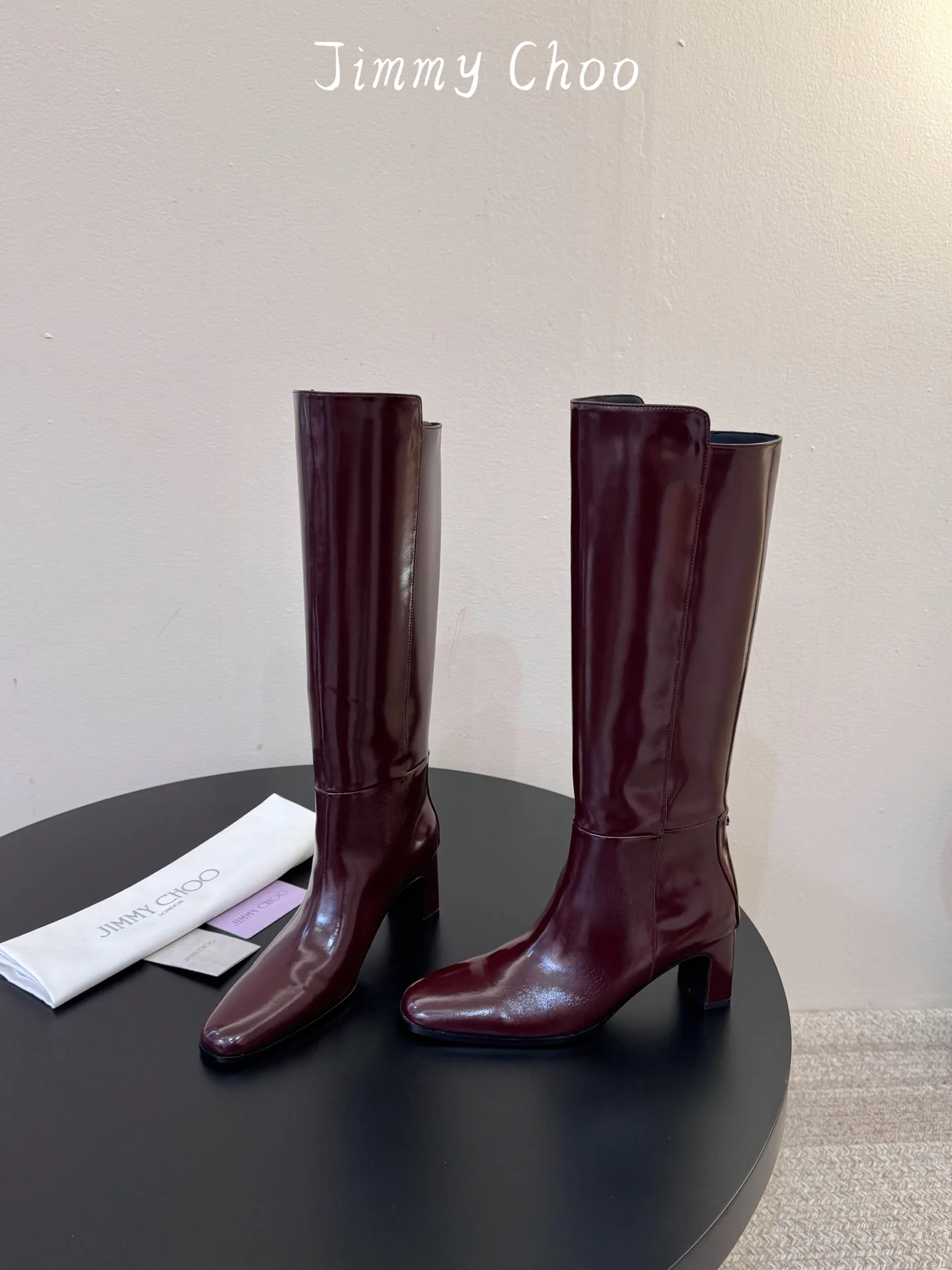 Сапоги Женские Jimmy Choo 18830355