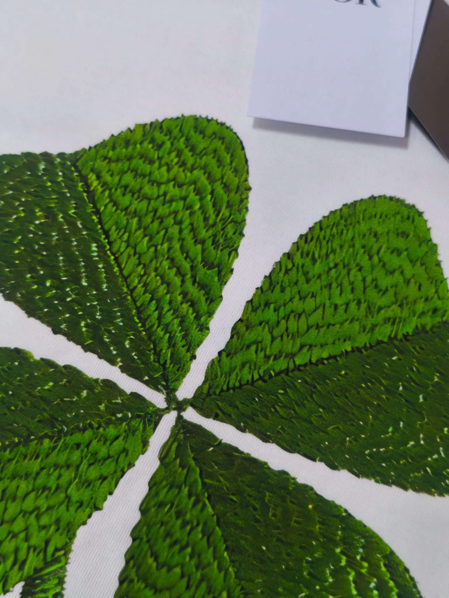 Футболки Женские Christian Dior 5069002