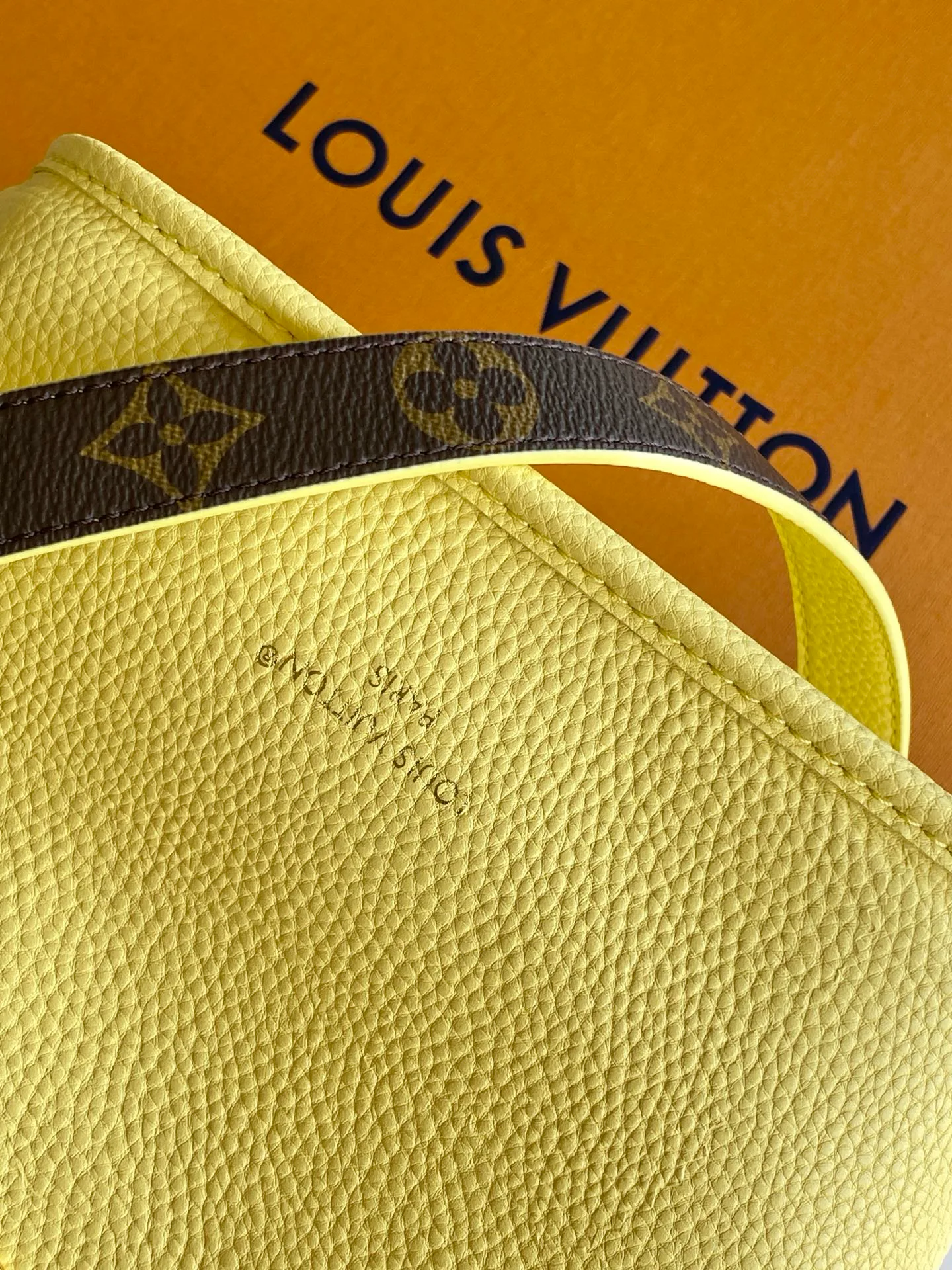 Классические Сумки Женские Louis Vuitton 17483326