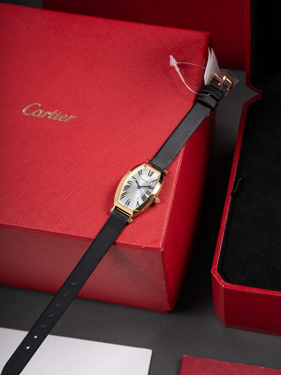 Часы Женские Cartier 11696043