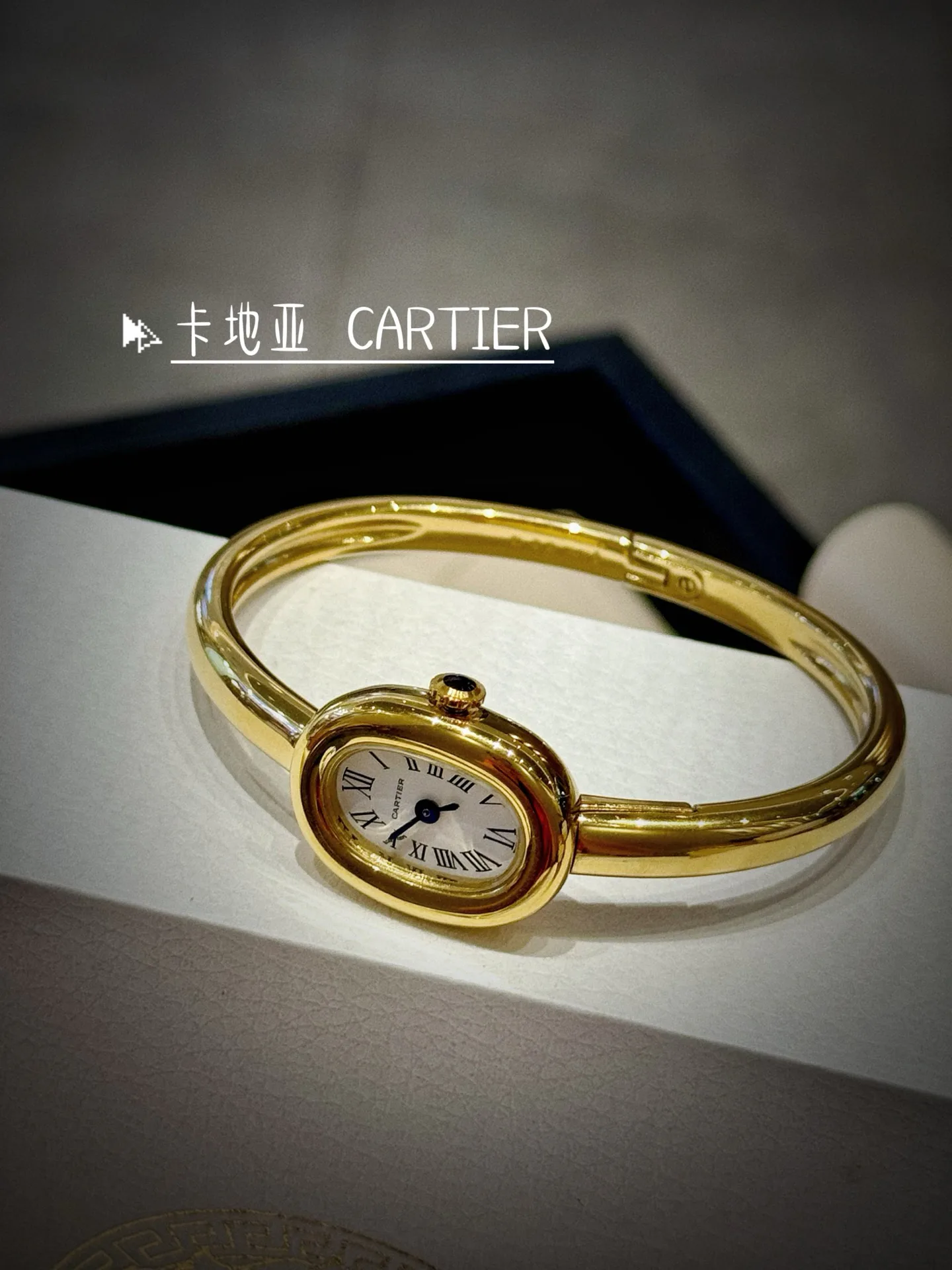 Часы Женские Cartier 11693388