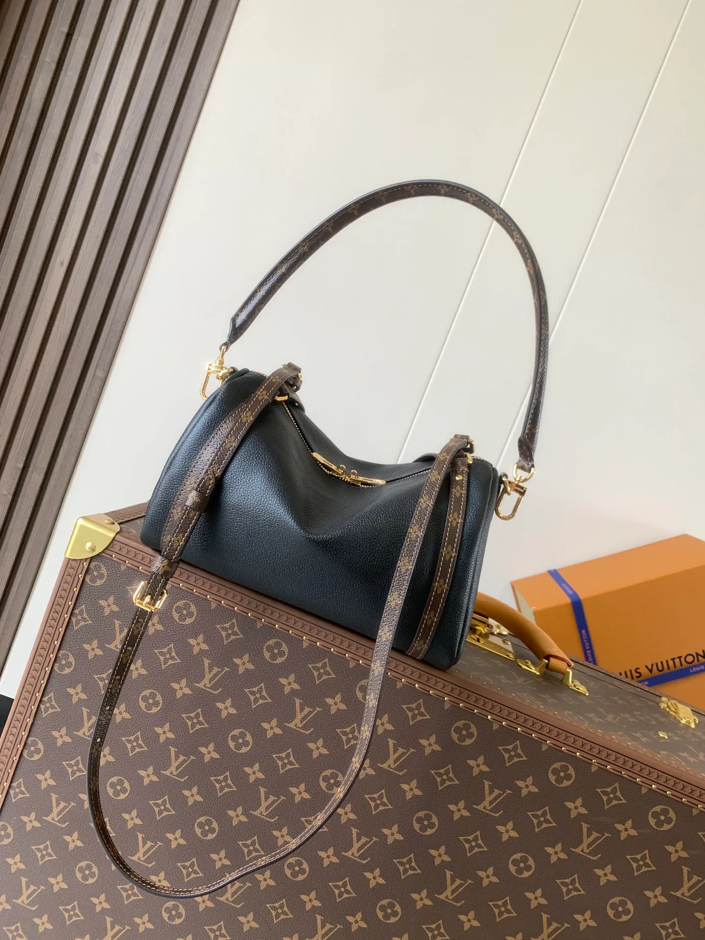 Классические Сумки Женские Louis Vuitton 11394897
