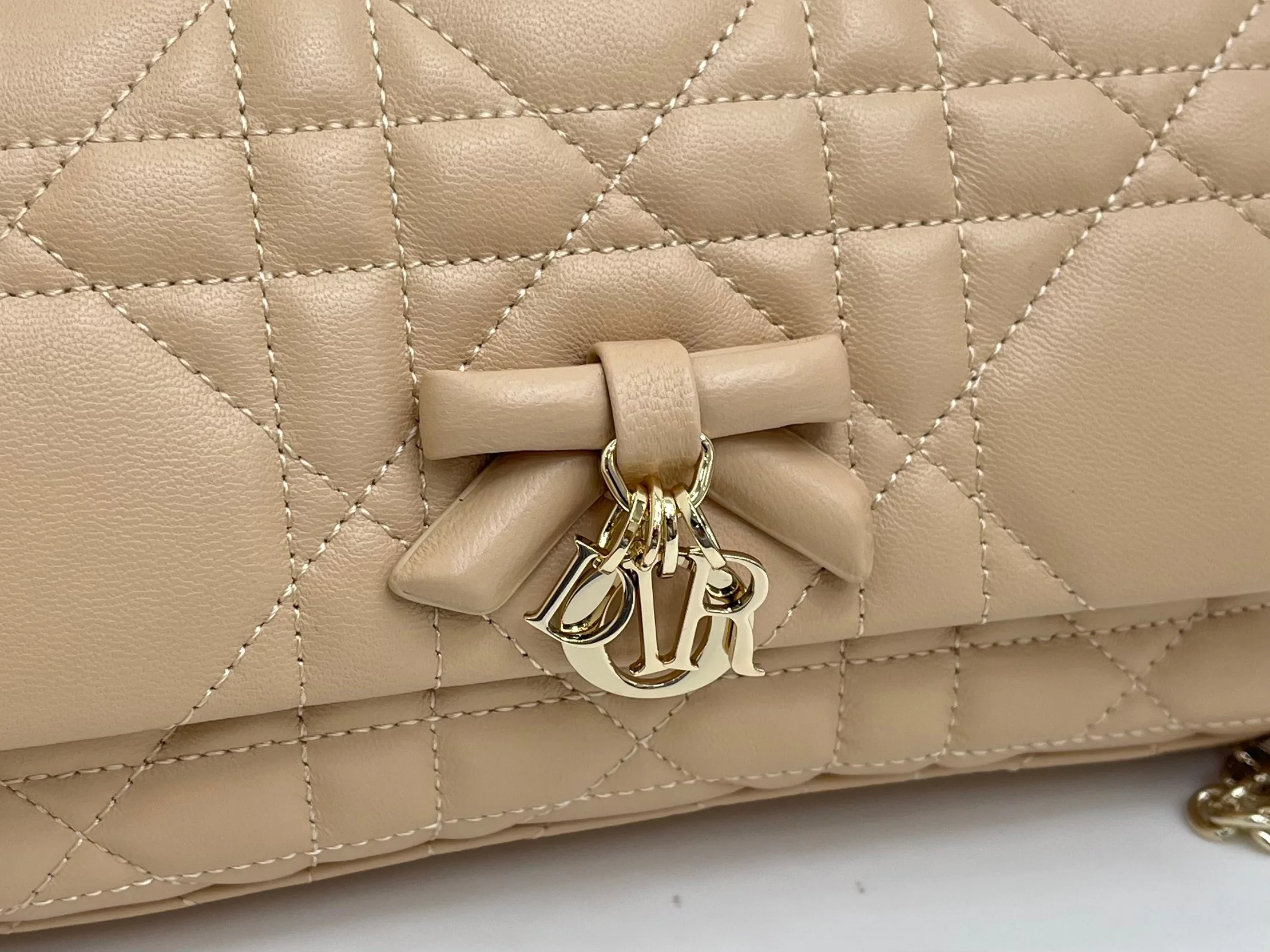 Классические Сумки Женские Christian Dior 17463901