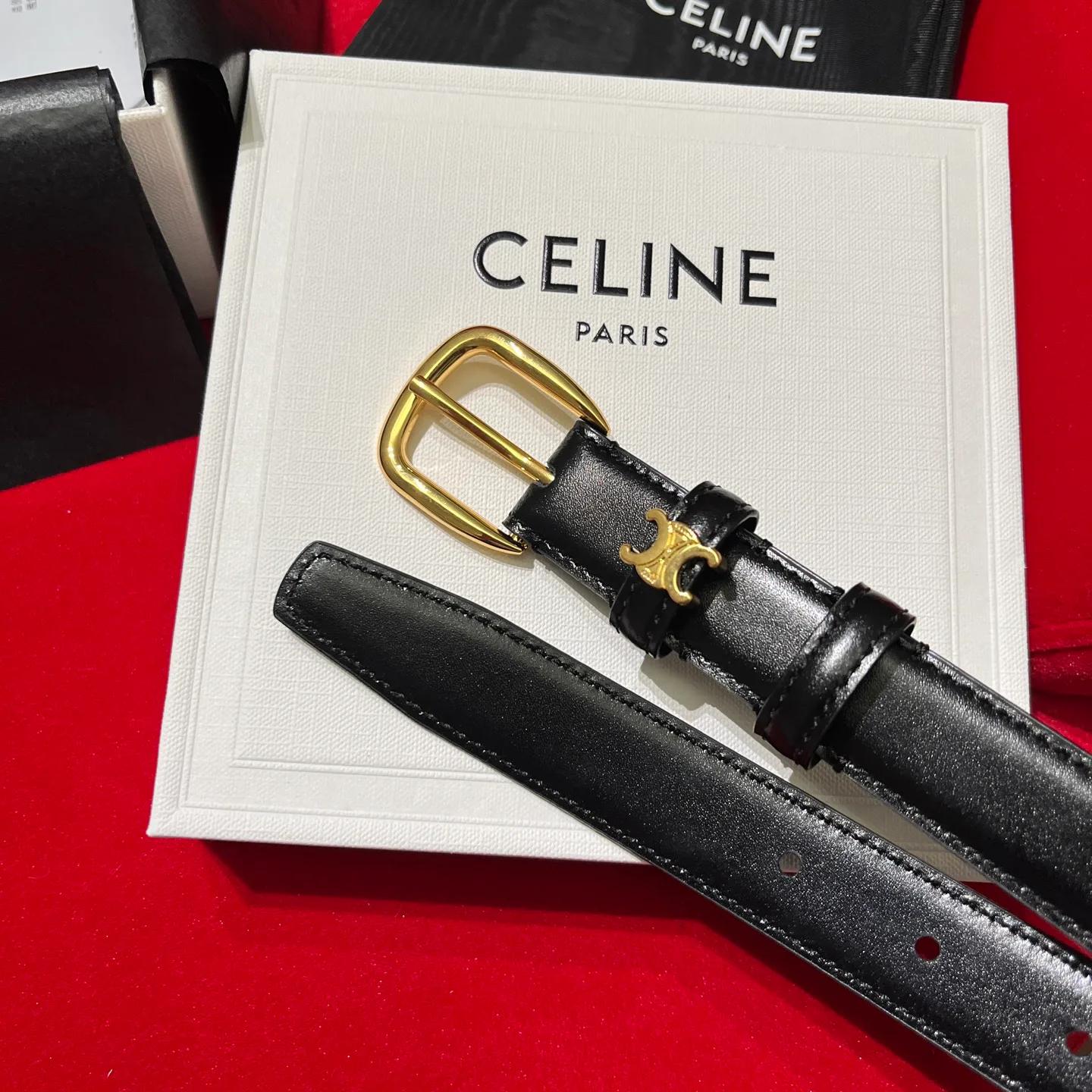 Поясные Сумки Женские Celine 10587937