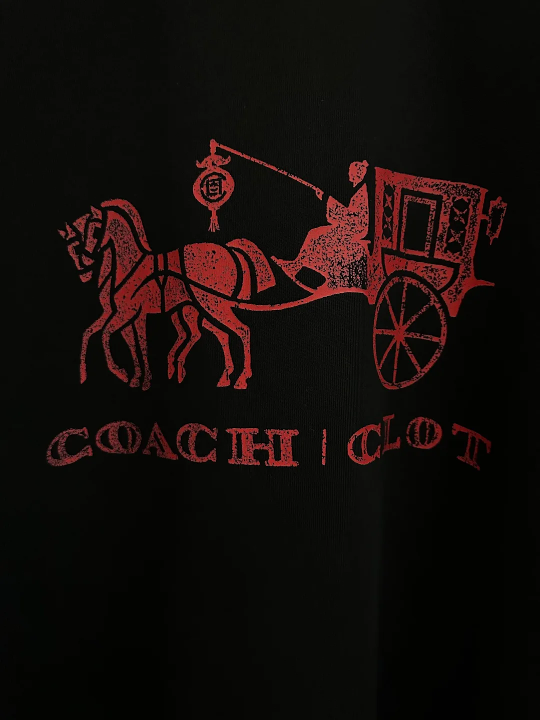 Футболки Женские Coach 11423619